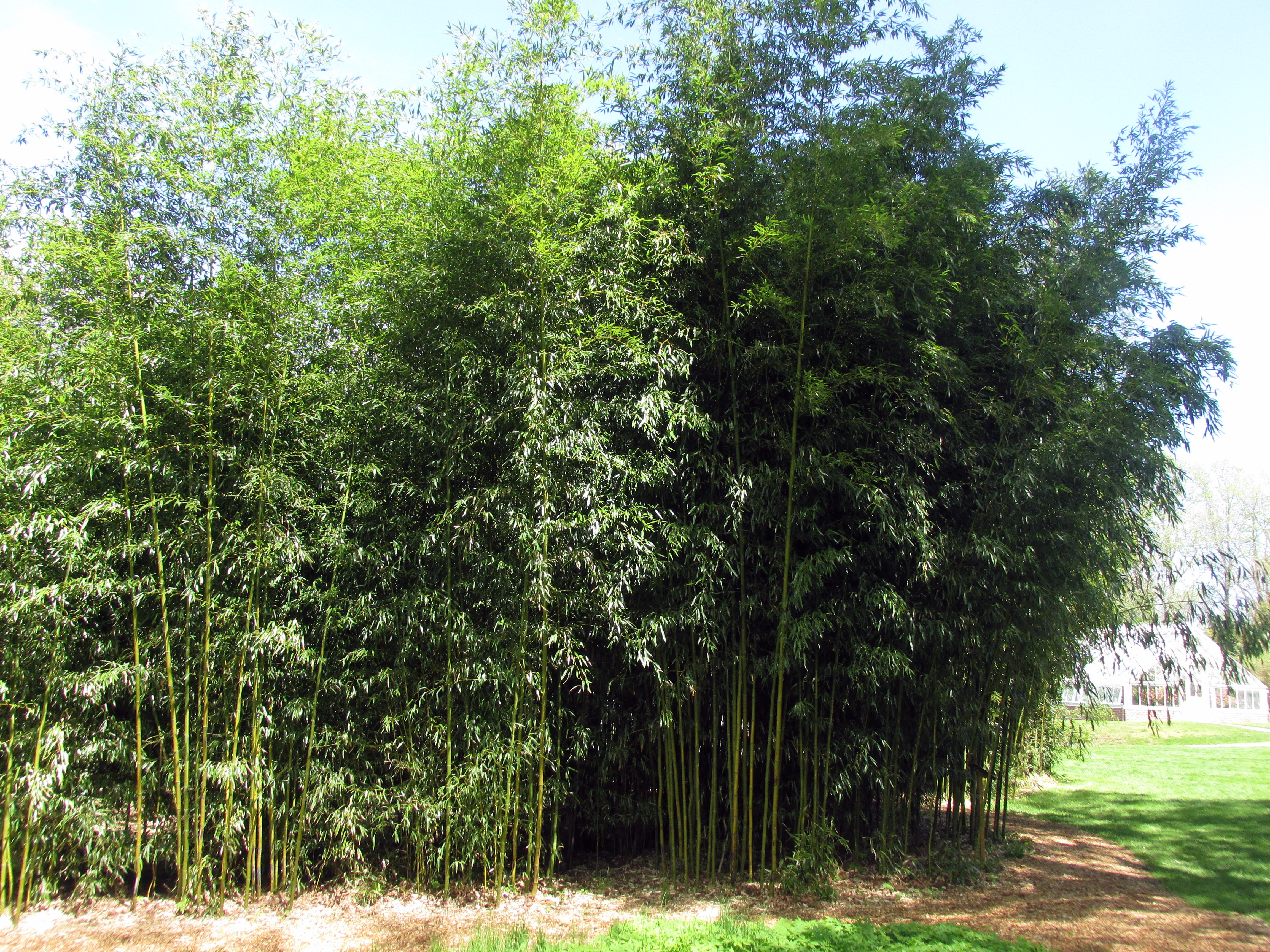 Book Notes: The Permaculture Handbook :: Chapter Thirteen