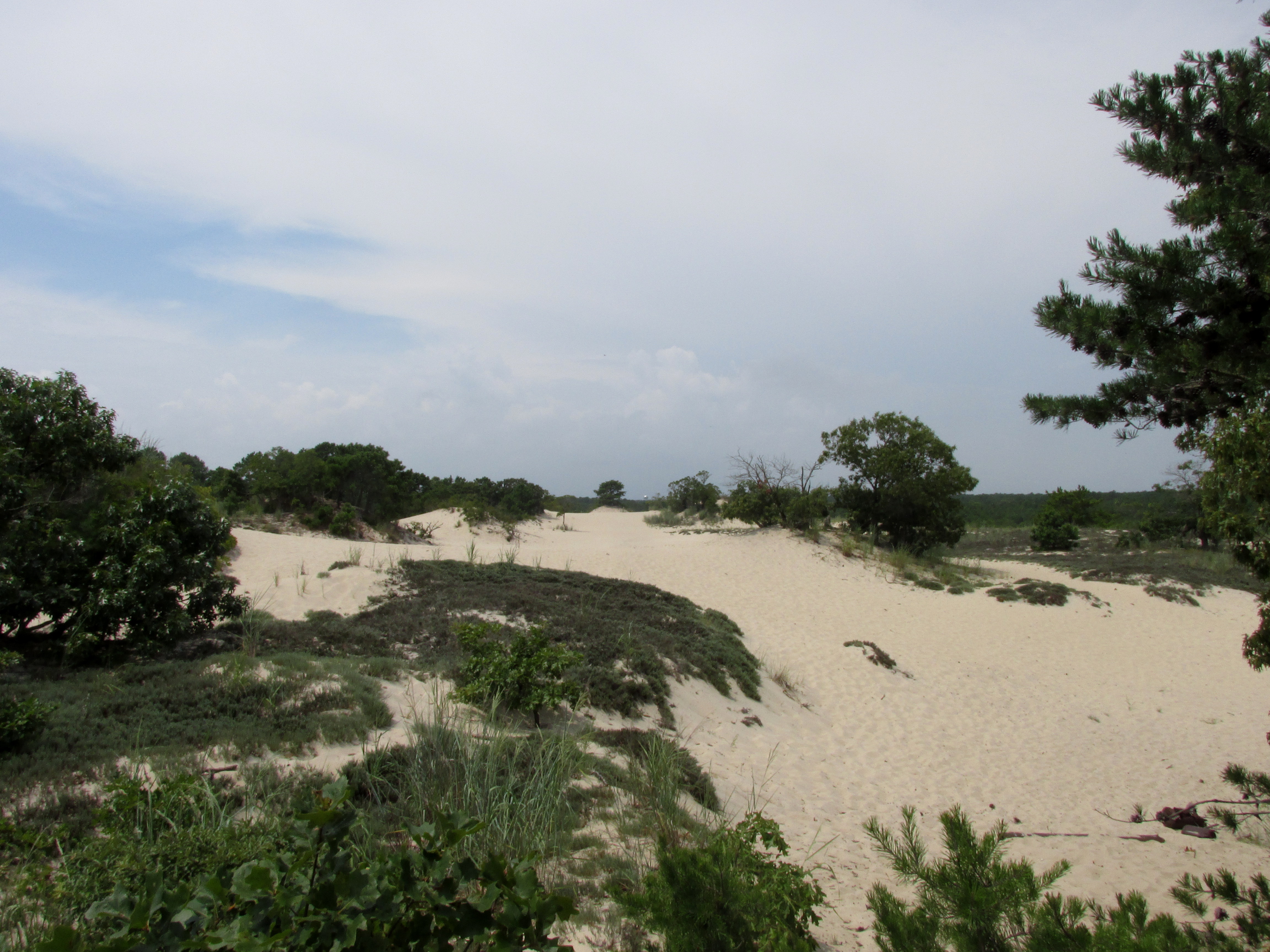Field Trip: Biking Around Rehoboth, Delaware