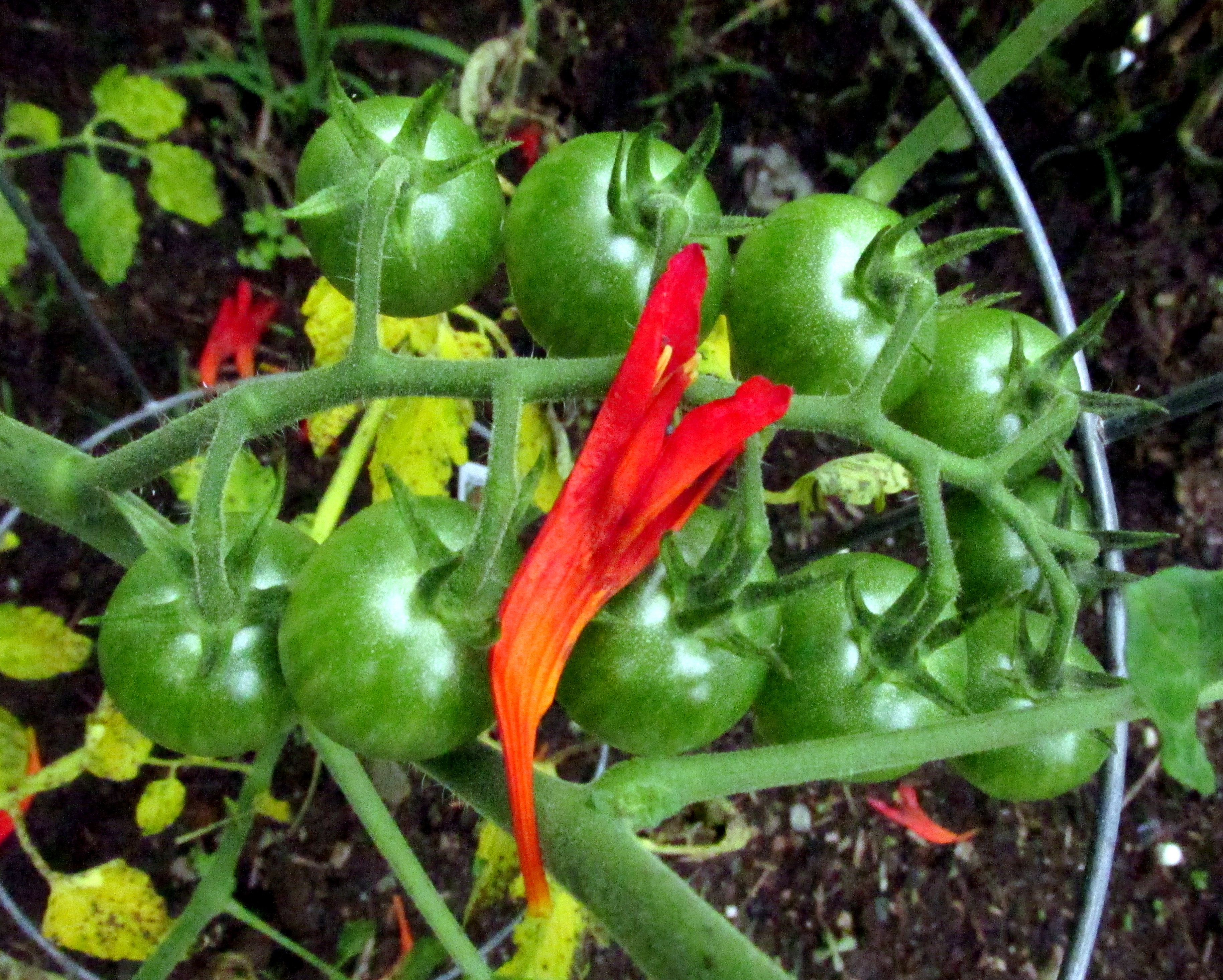 Wednesday Vignette: Intersections