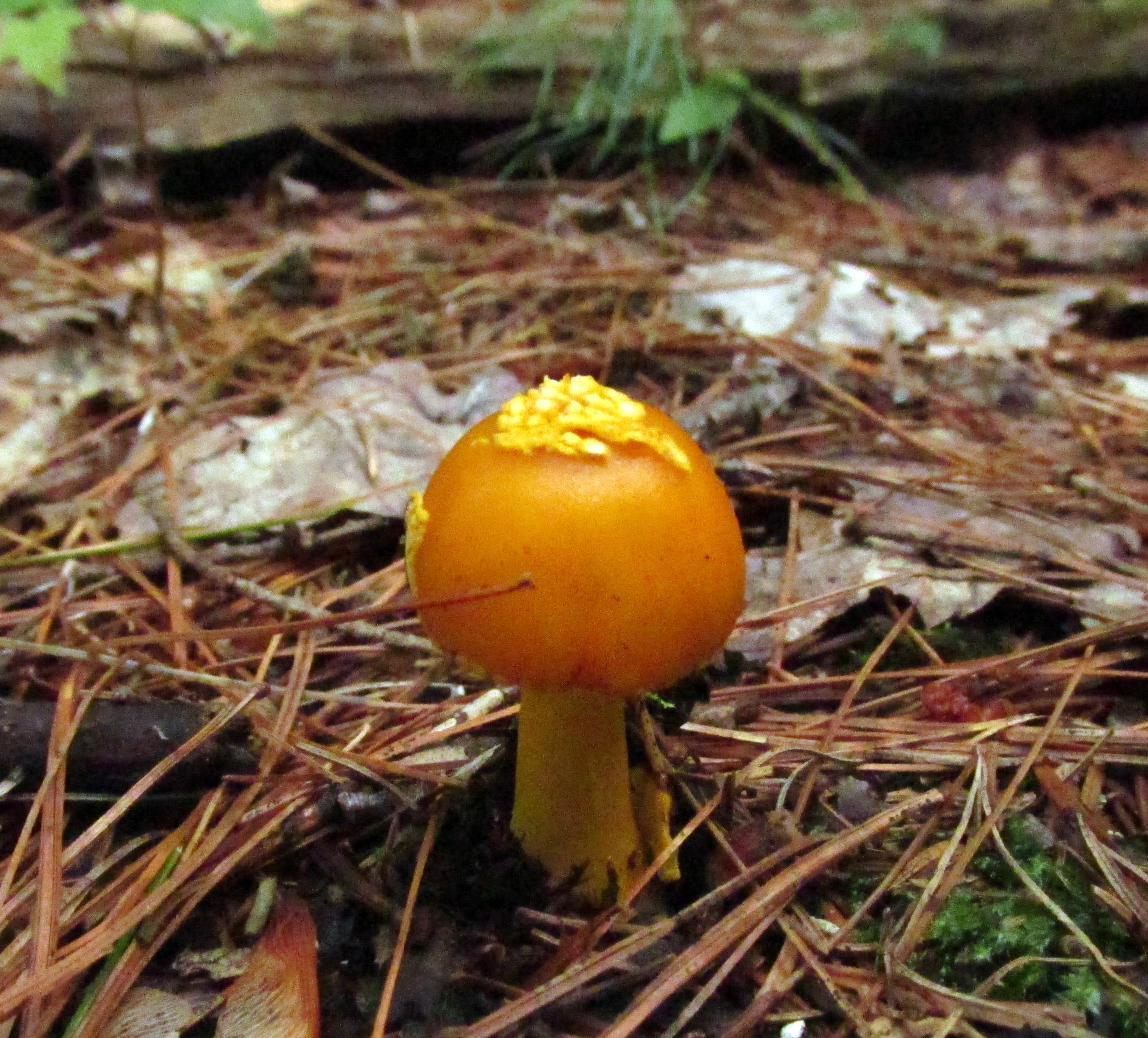 every landscape is an accumulation