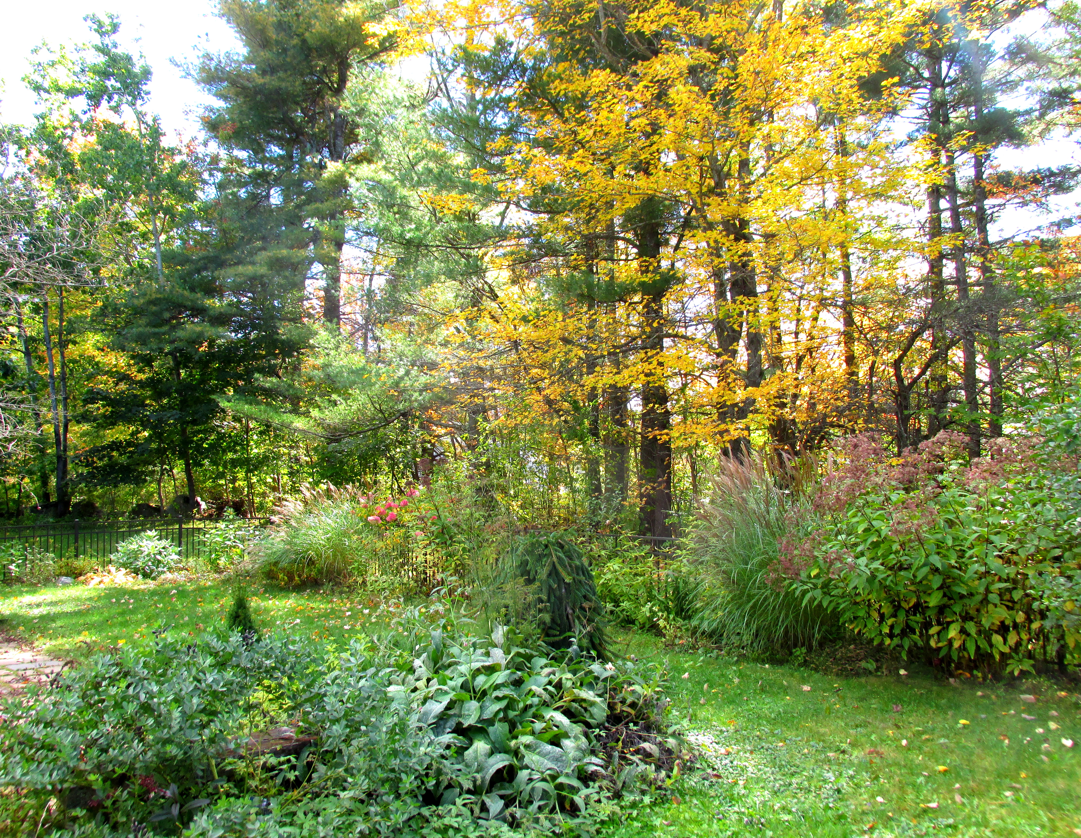 October Garden Bloggers’ Bloom Day