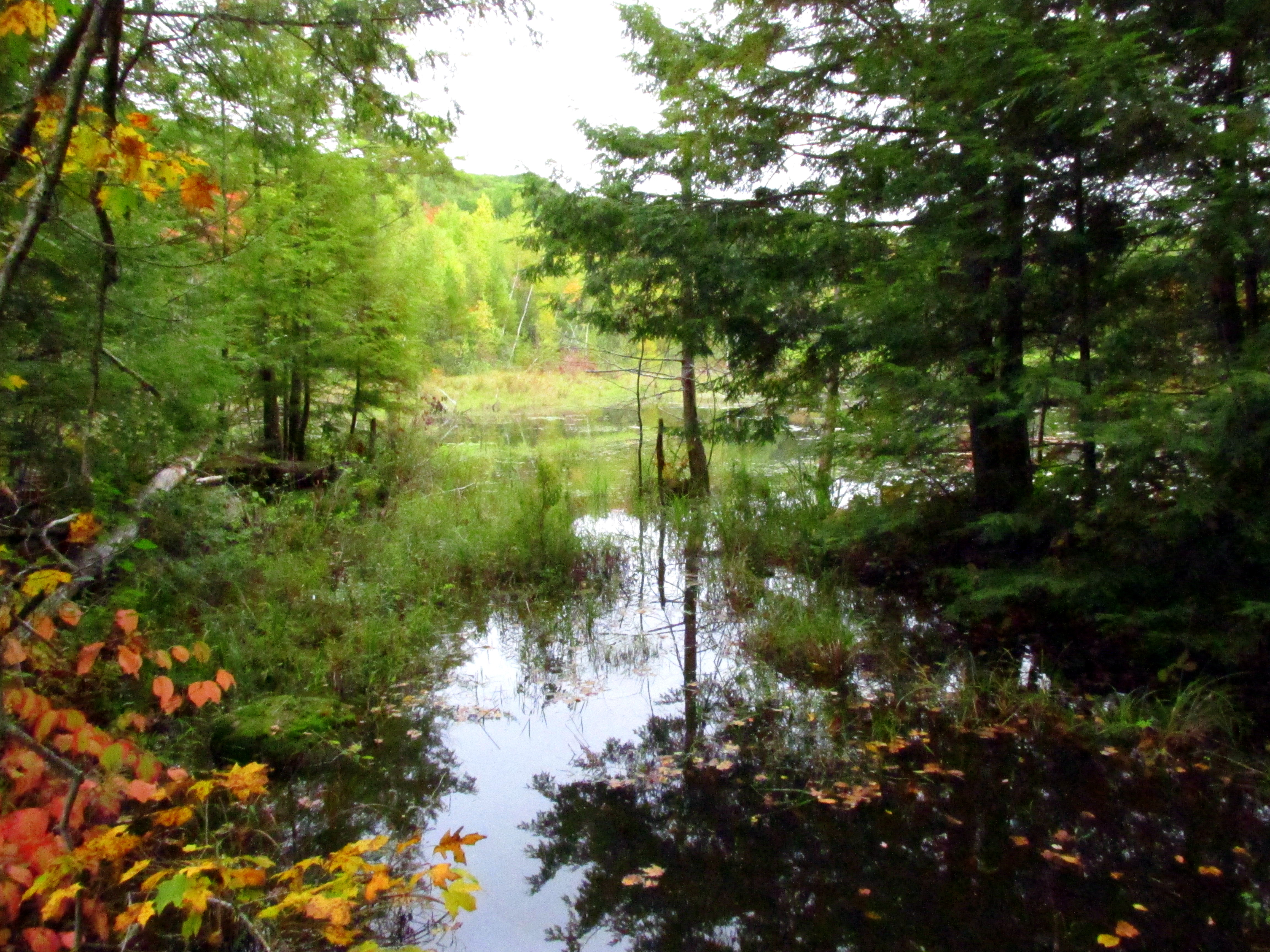 31 Days: Apocalypse, Now ~ Day 8 :: In Plain View