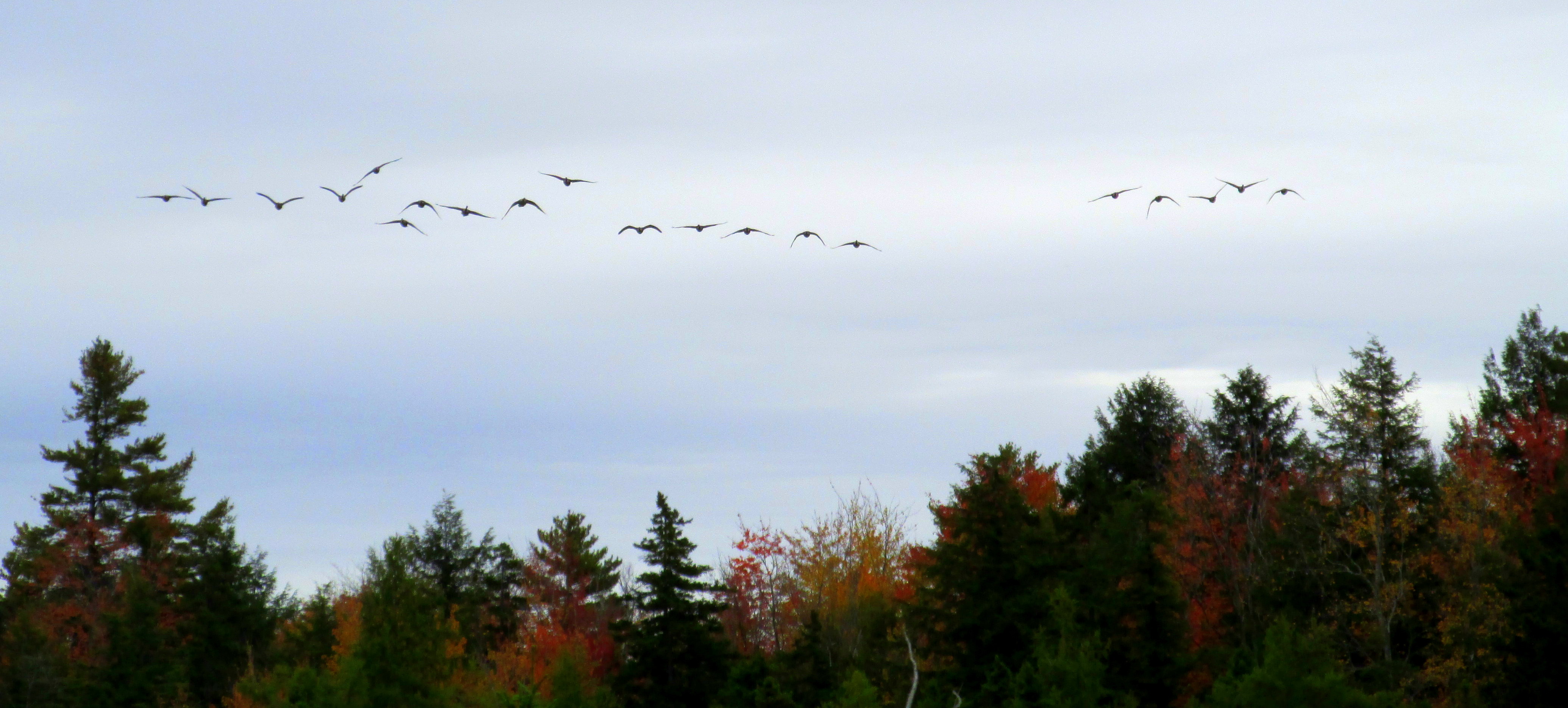 31 Days: Apocalypse, Now ~ Day 14 :: Contemplation