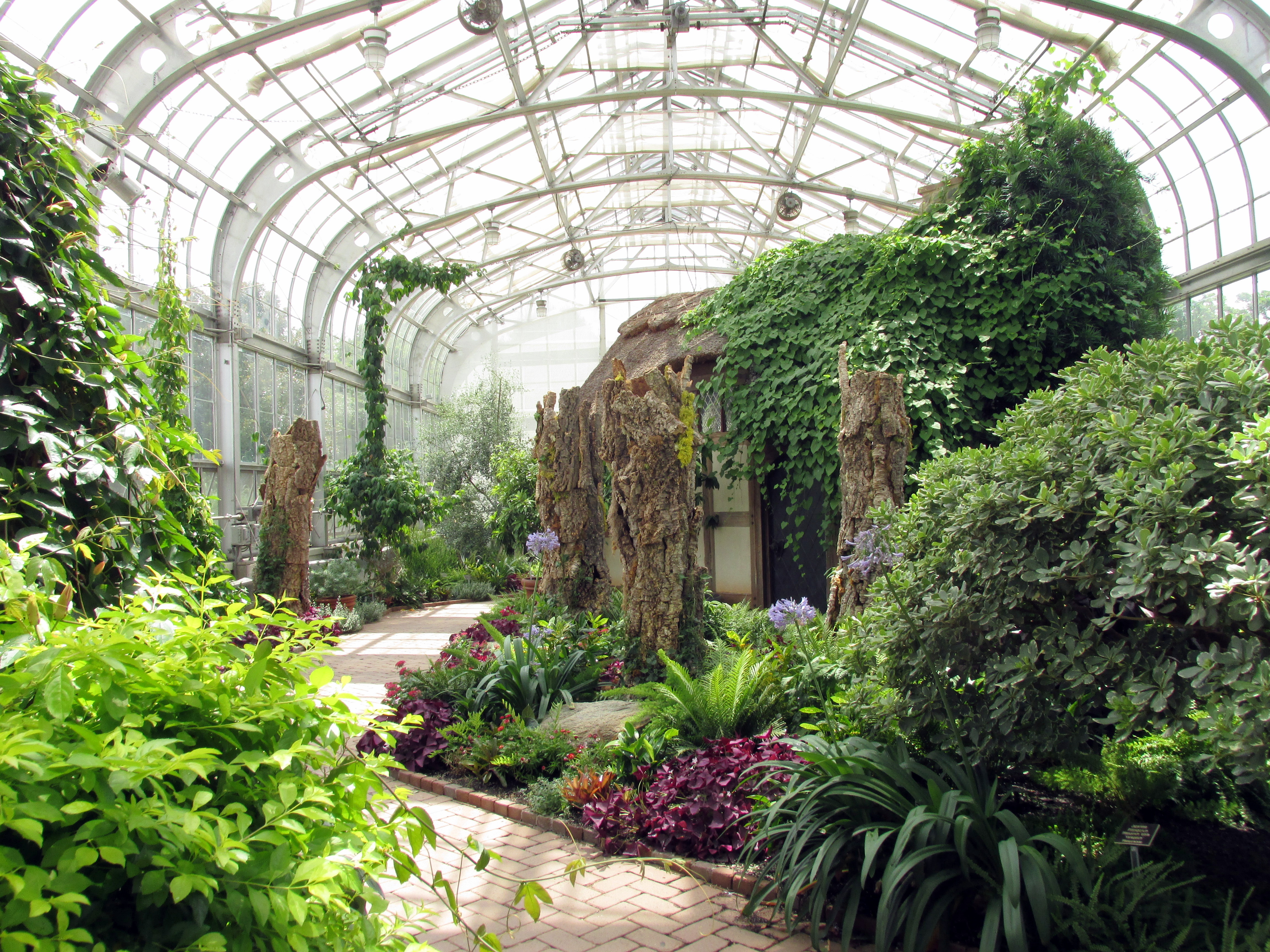 31 Days: Apocalypse, Now ~ Day 21 :: Hermit-in-Residence