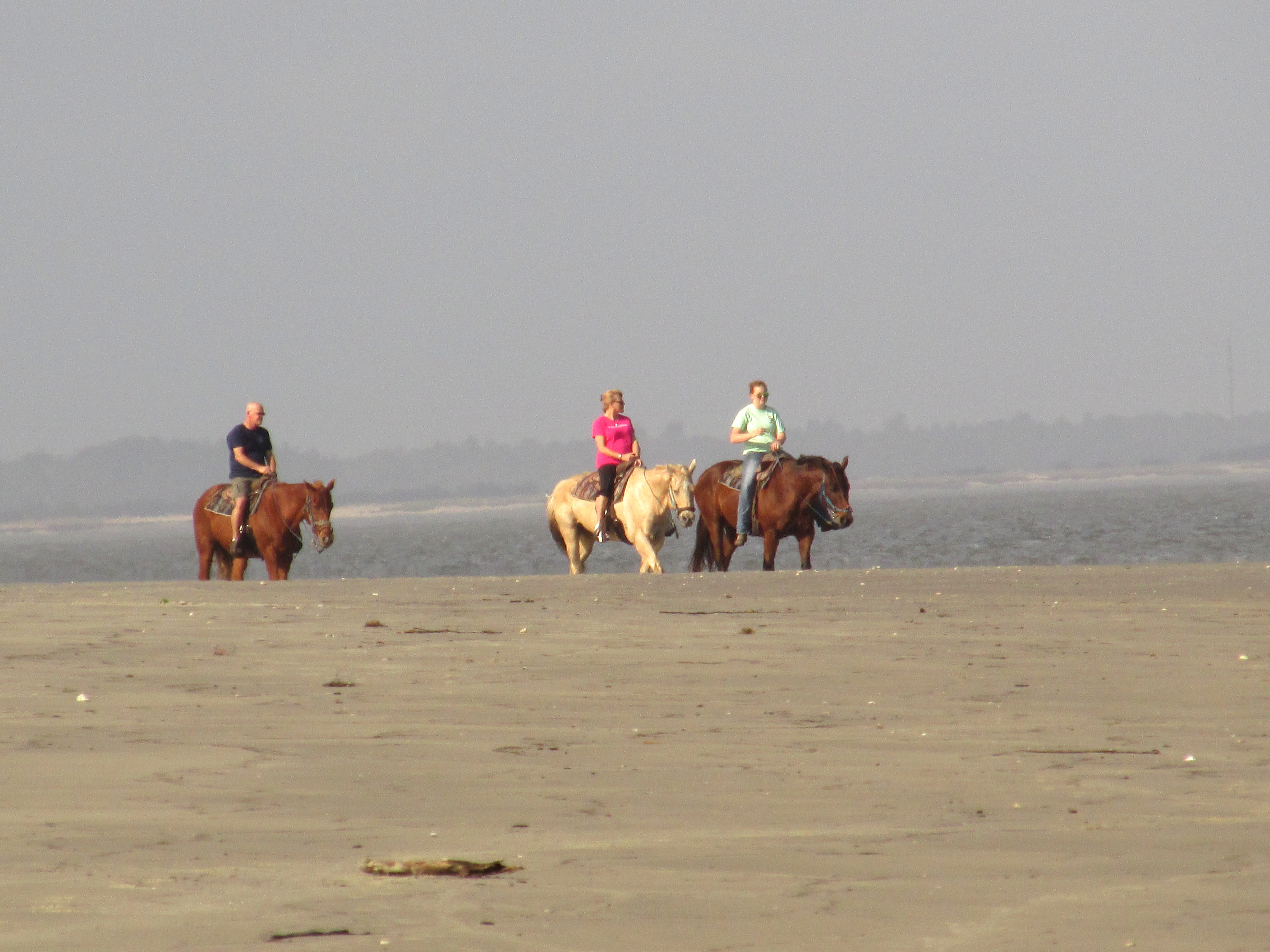 31 Days: Apocalypse, Now ~ Day 6 :: We’re Doomed!