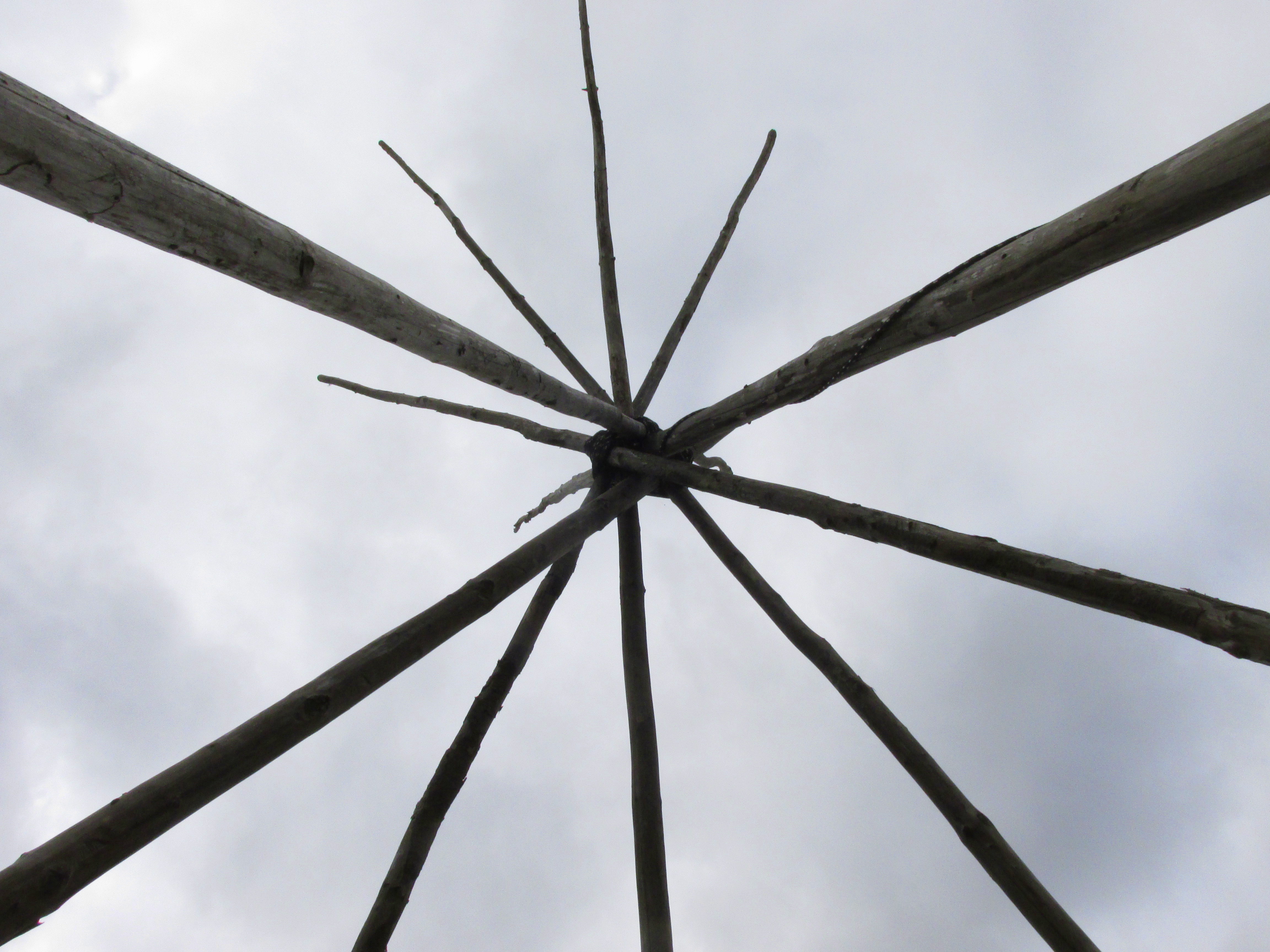 31 Days: Apocalypse, Now ~ Day 18 :: Unveiled Violence