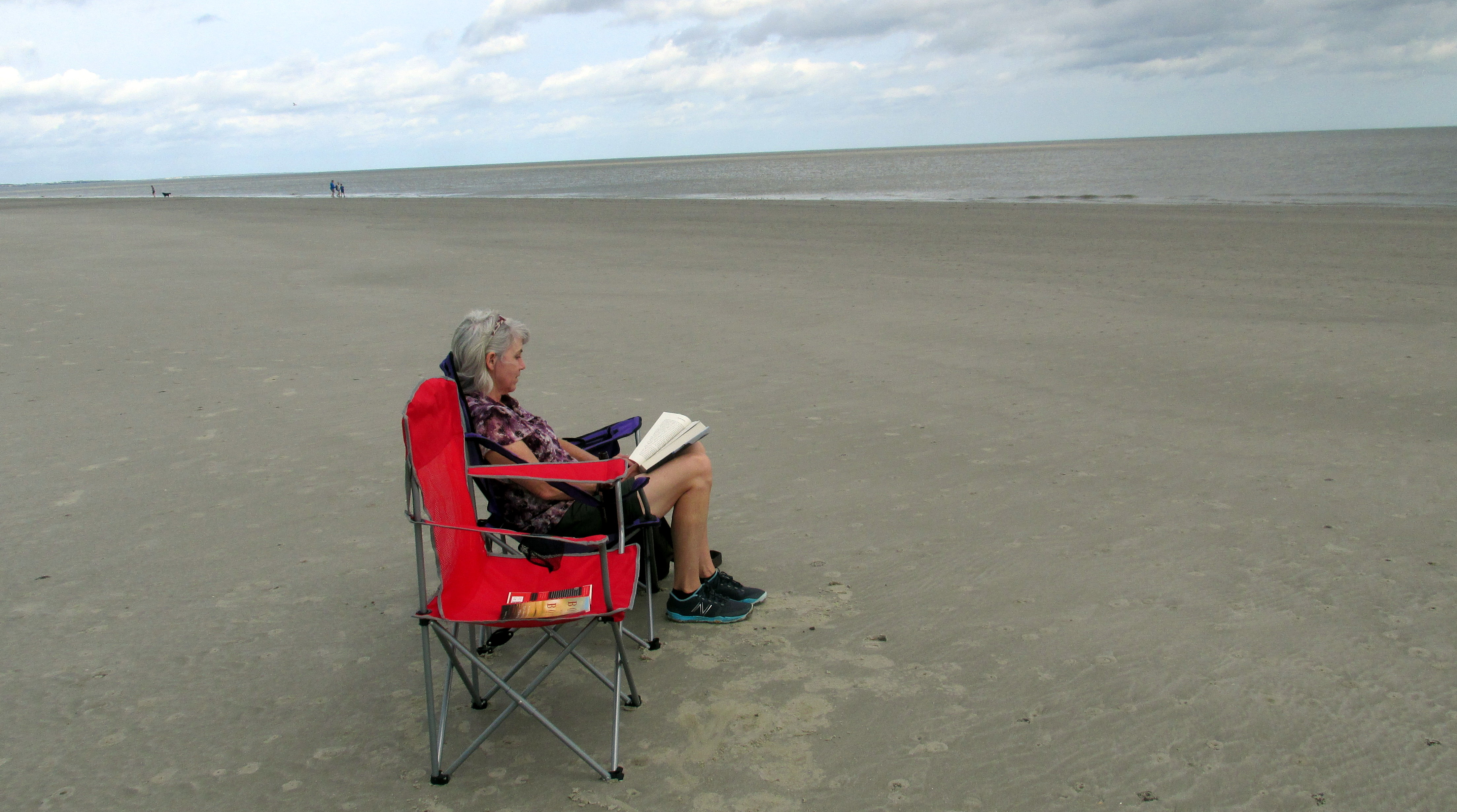 31 Days: Apocalypse, Now ~ Day 30 :: Revelatory Books