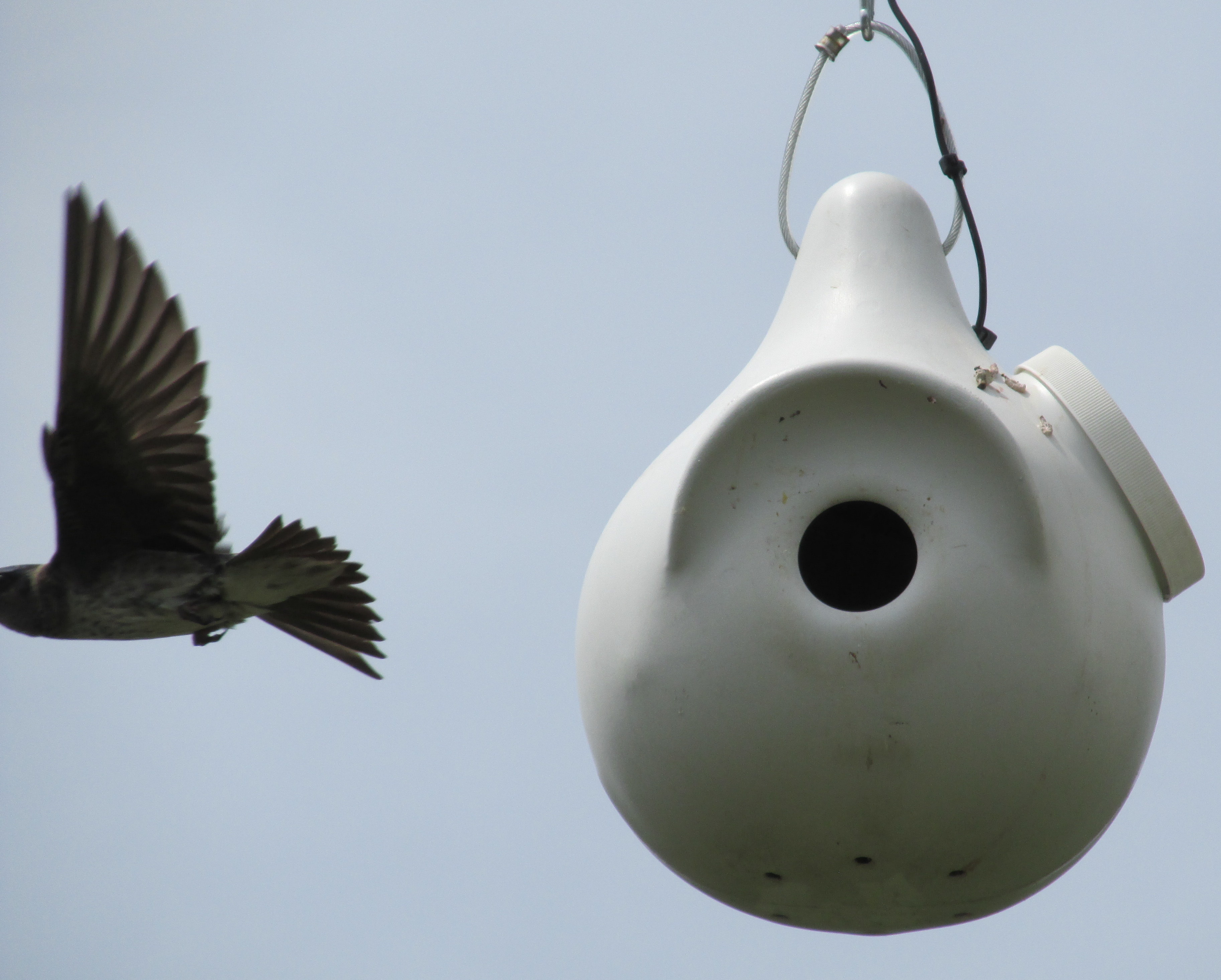 31 Days: Apocalypse, Now ~ Day 23 :: The Presence of Absence