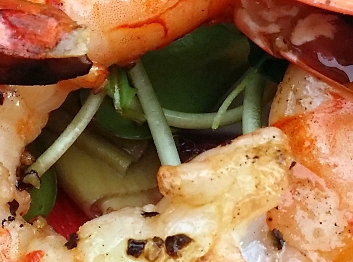 31 Days: Apocalypse, Now ~ Day 15 :: Vision is Controlled Hallucination