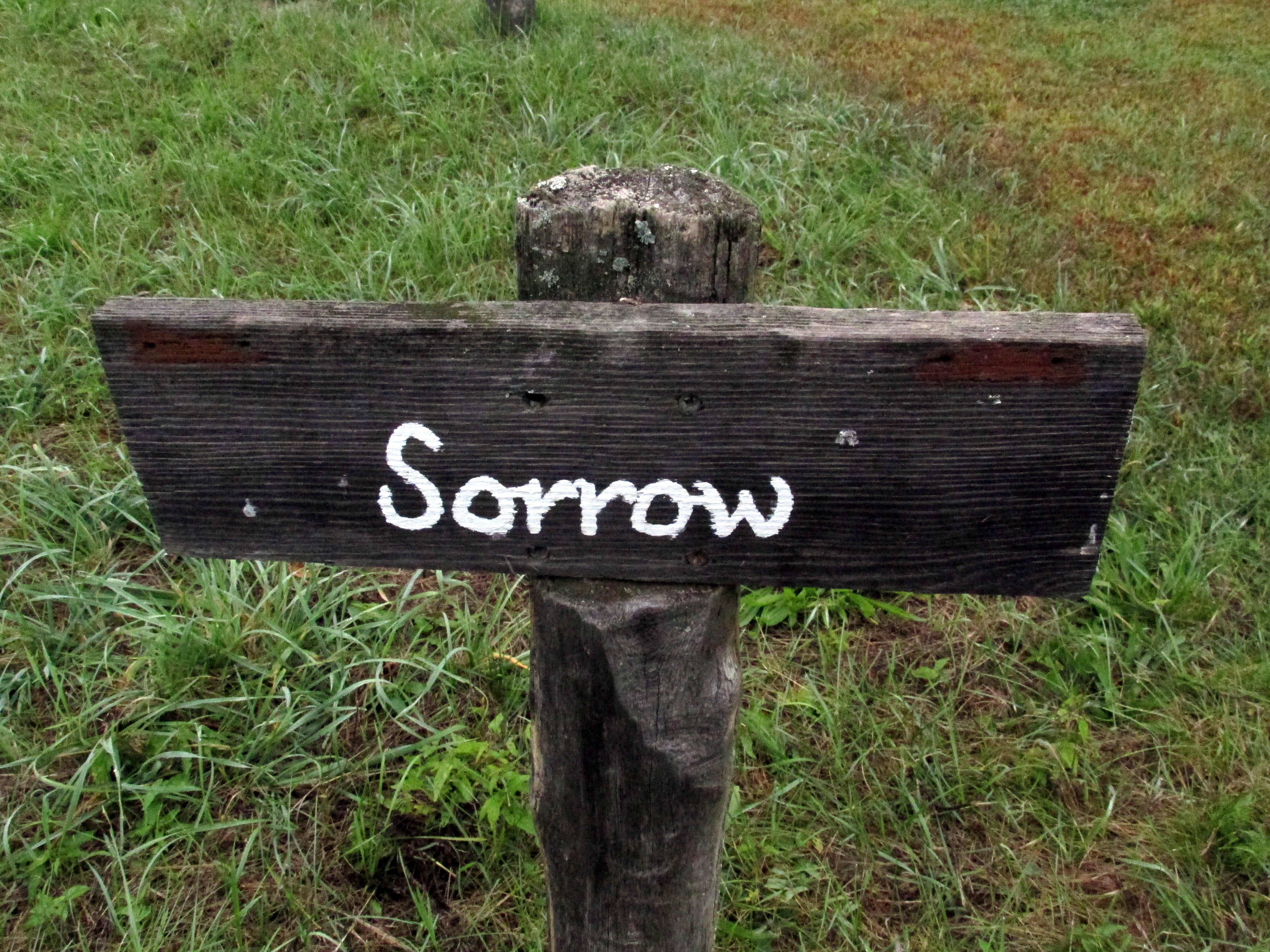 31 Days: Apocalypse, Now ~ Day 7 :: White Women’s Tears