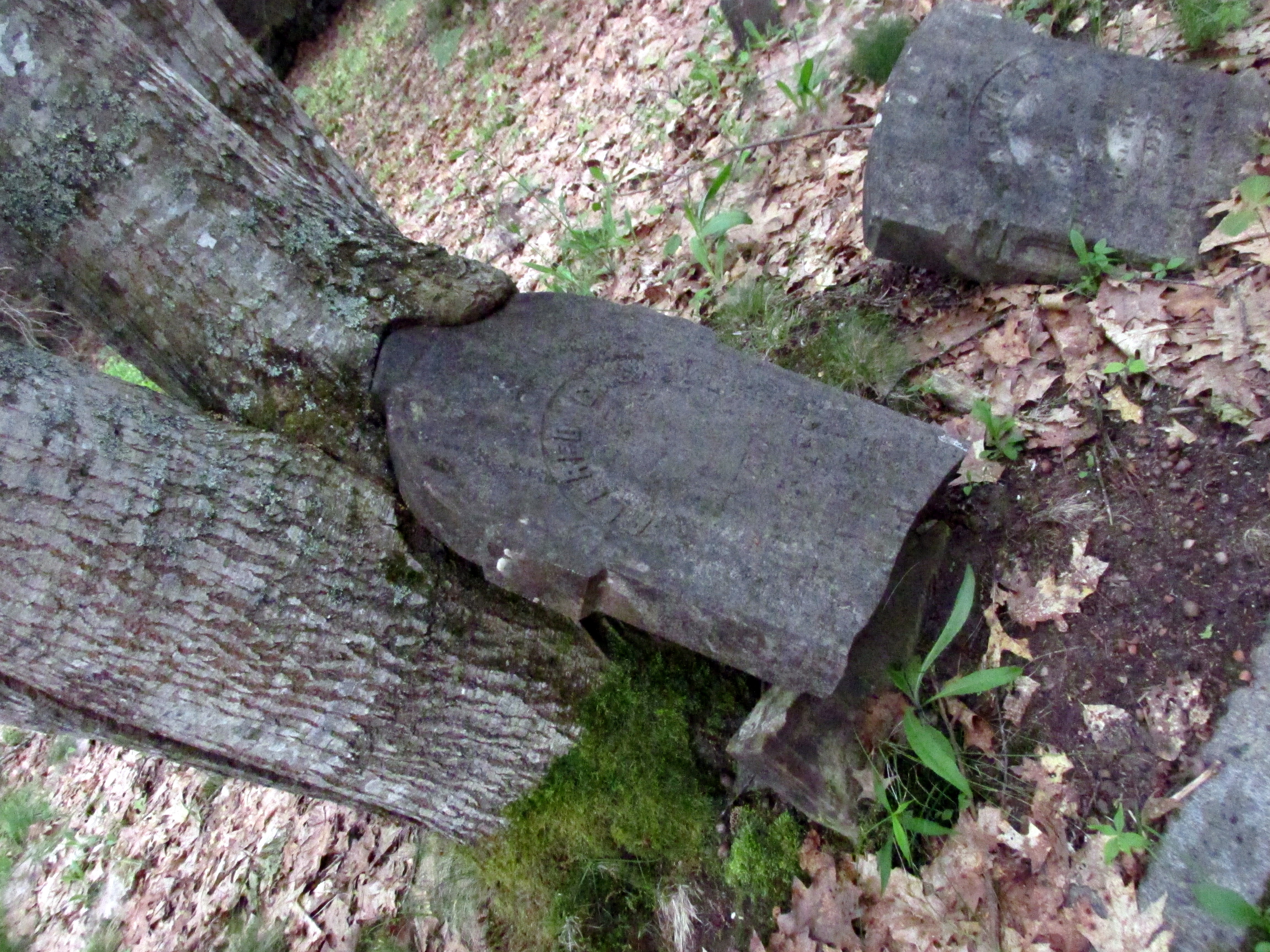 31 Days: Apocalypse, Now ~ Day 28 :: What’s Underneath II