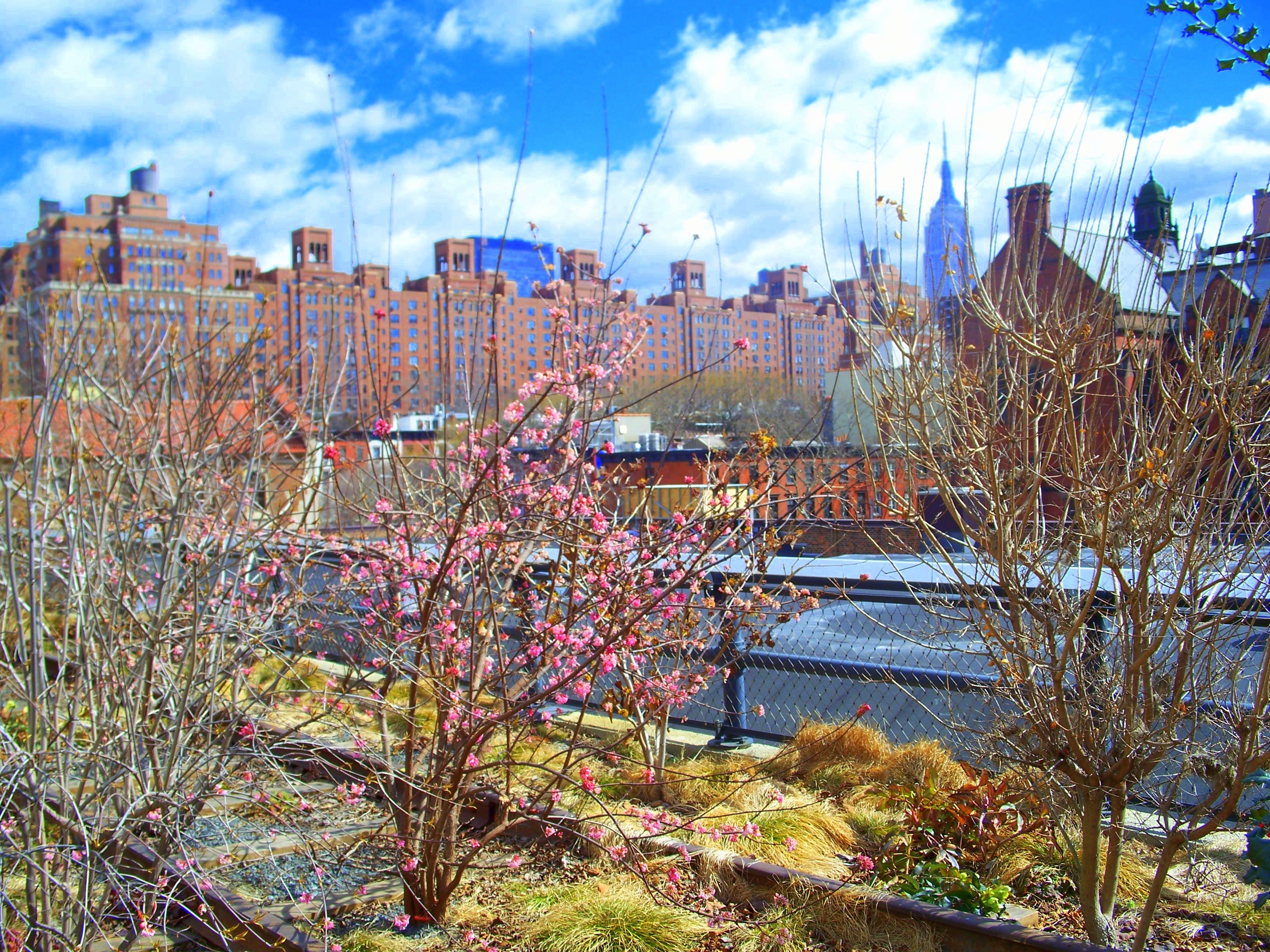 31 Days: Apocalypse, Now ~ Day 19 :: Sauntering and Foraging