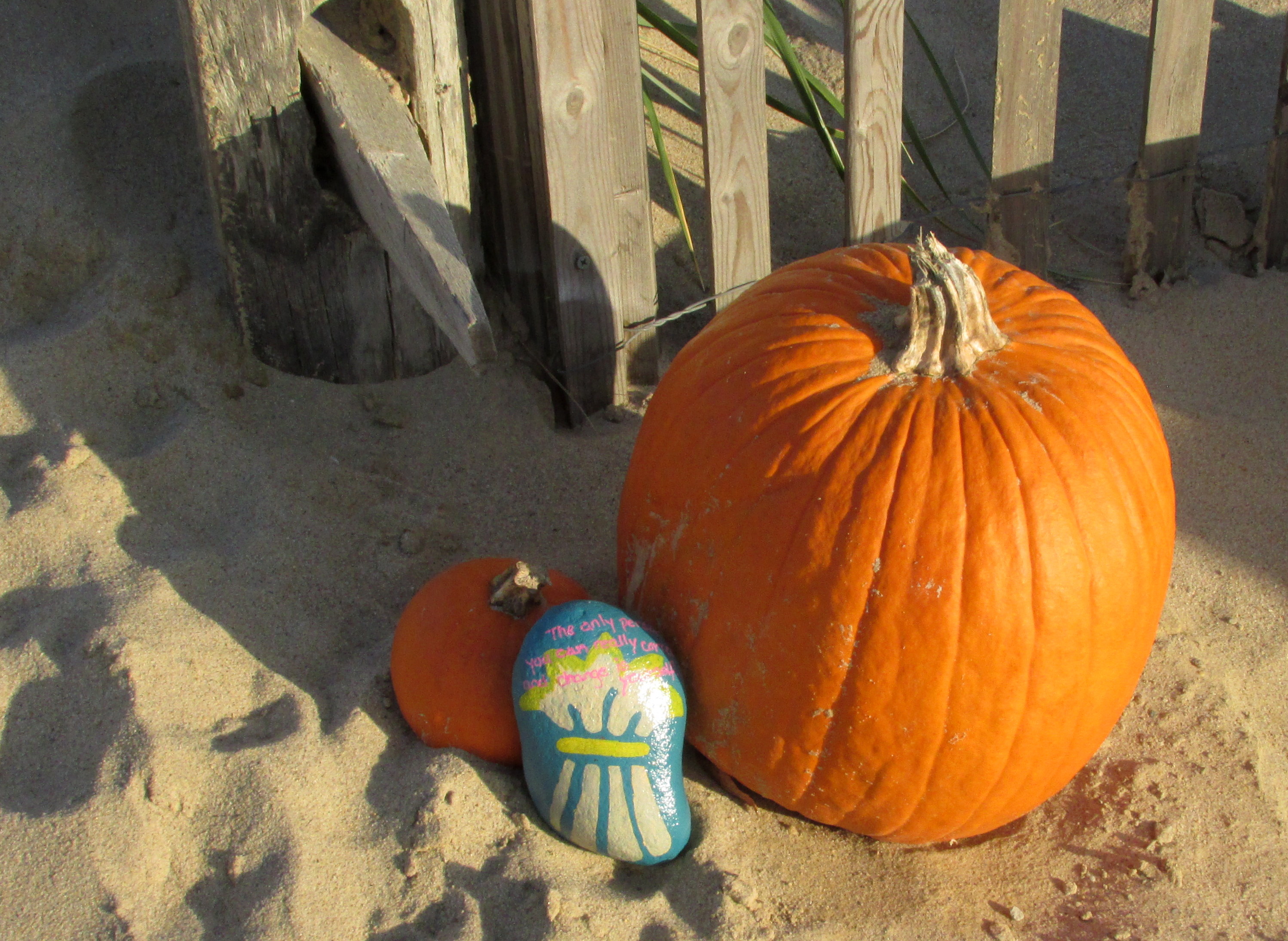 October Field Trips in Pictures