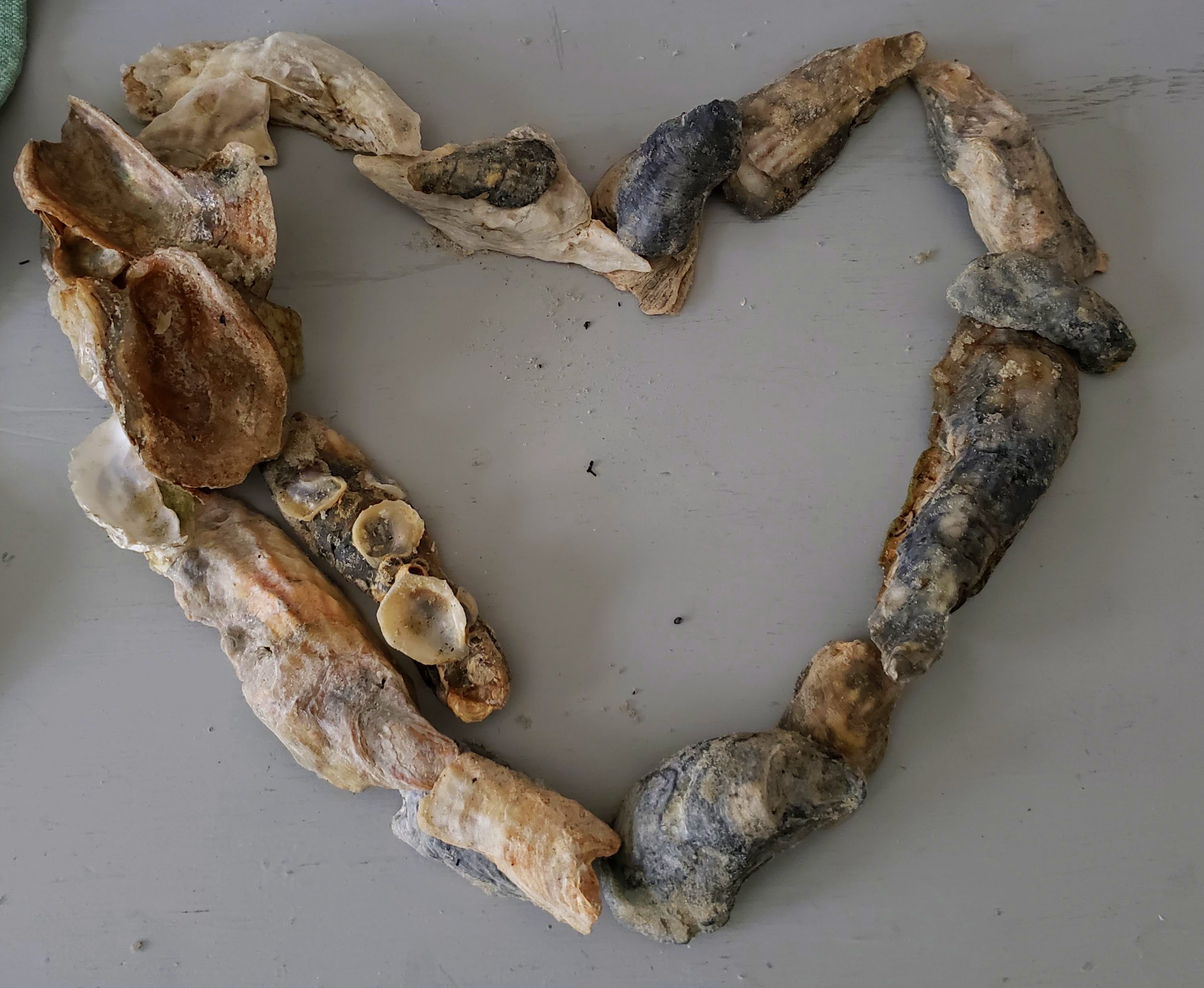 November Field Trips in Pictures