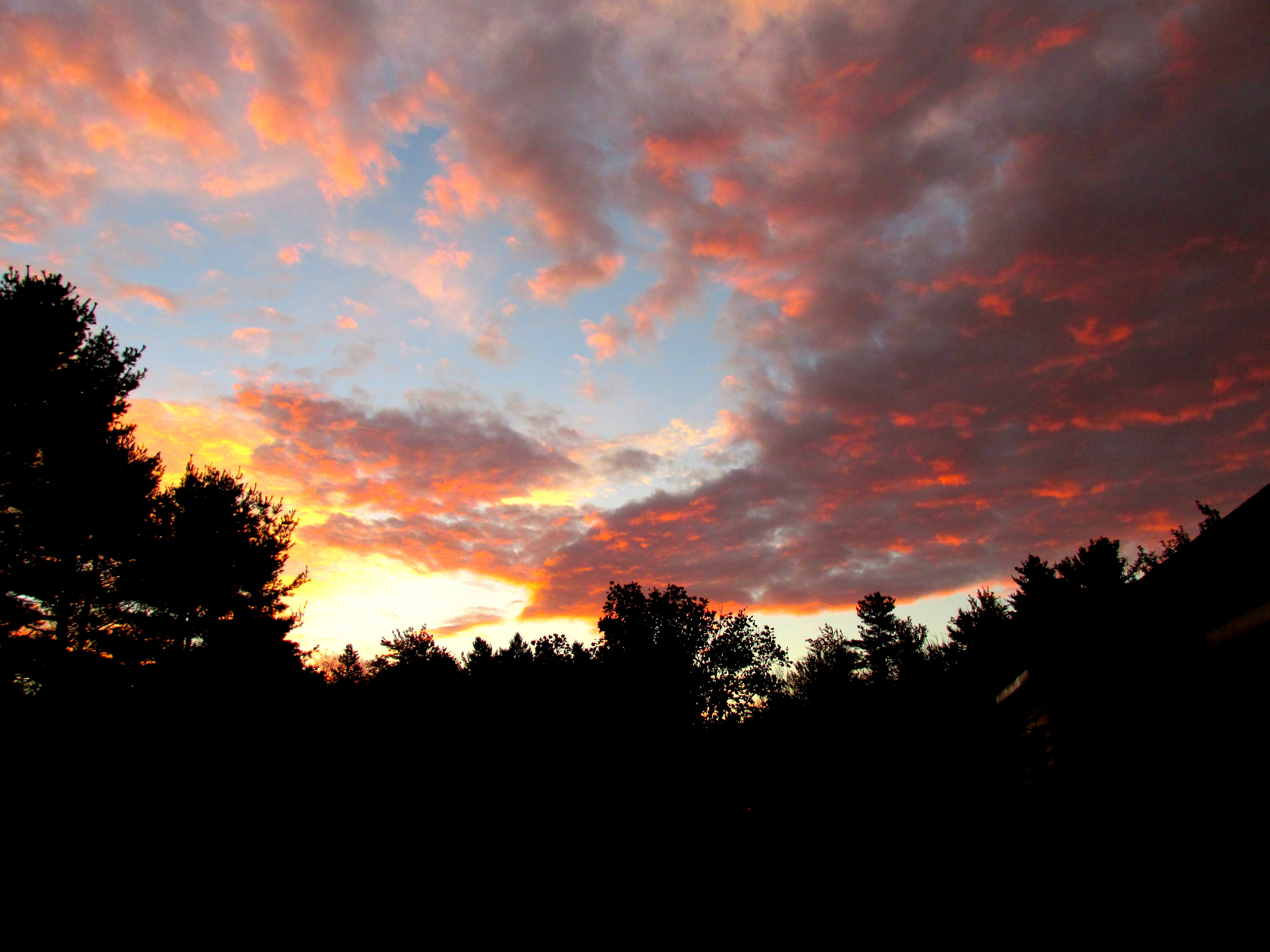 Write 28 Days: Have Heaven ~ Day 6 :: Dawn