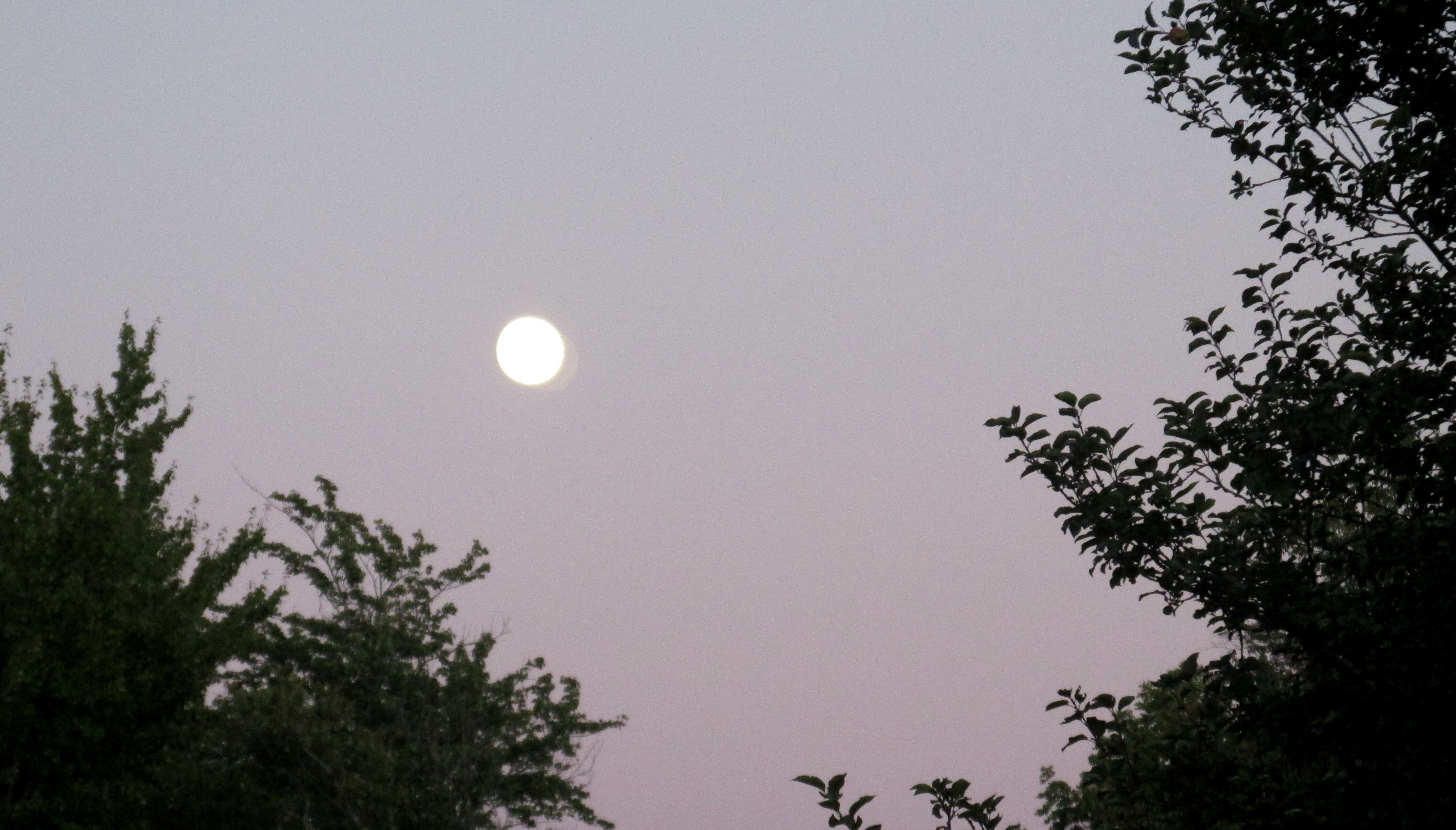 Write 28 Days: Have Heaven ~ Day 5 :: The Moon & Comets