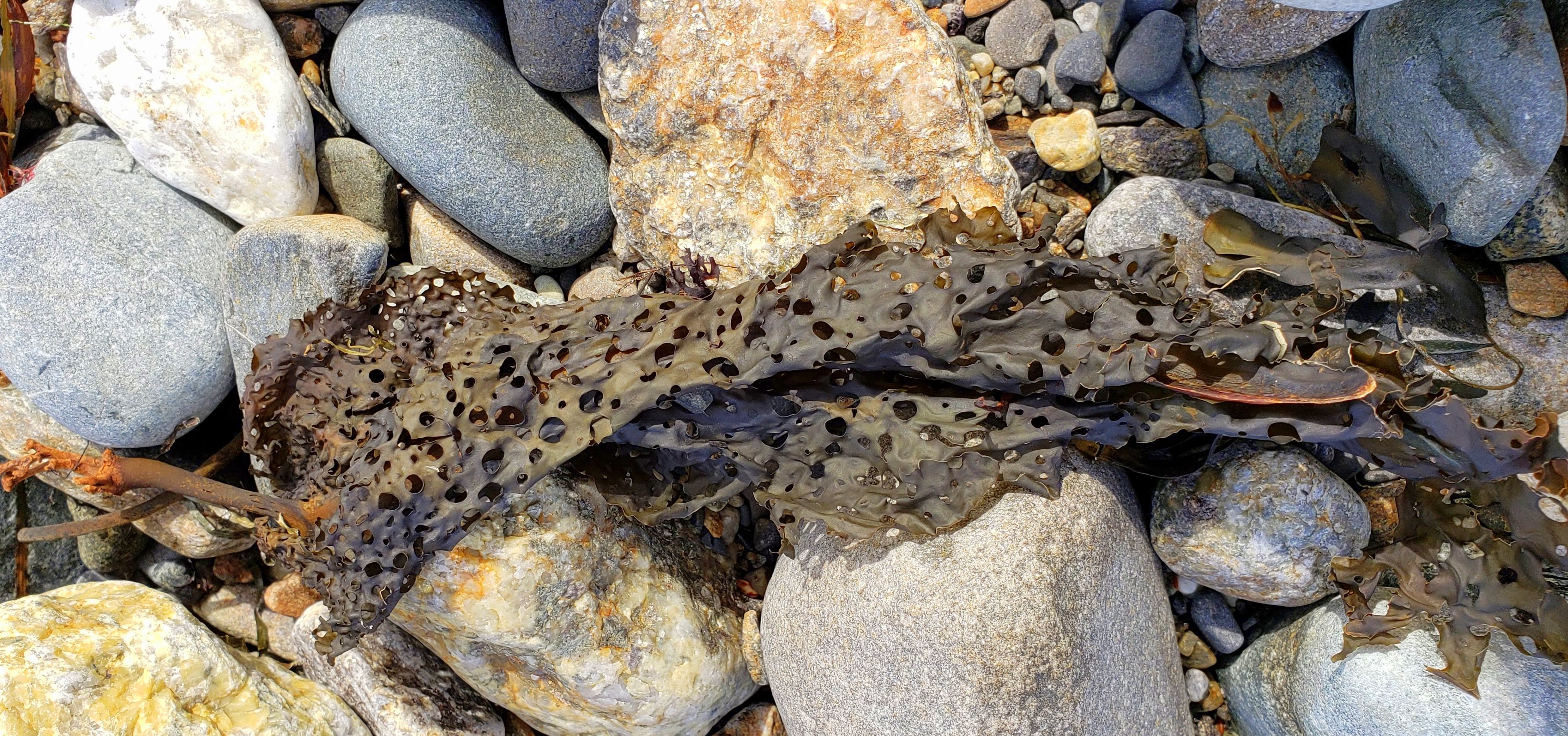 Write 28 Days: Have Heaven ~ Day 23 :: The Heaven (and  Hell) of Changeability