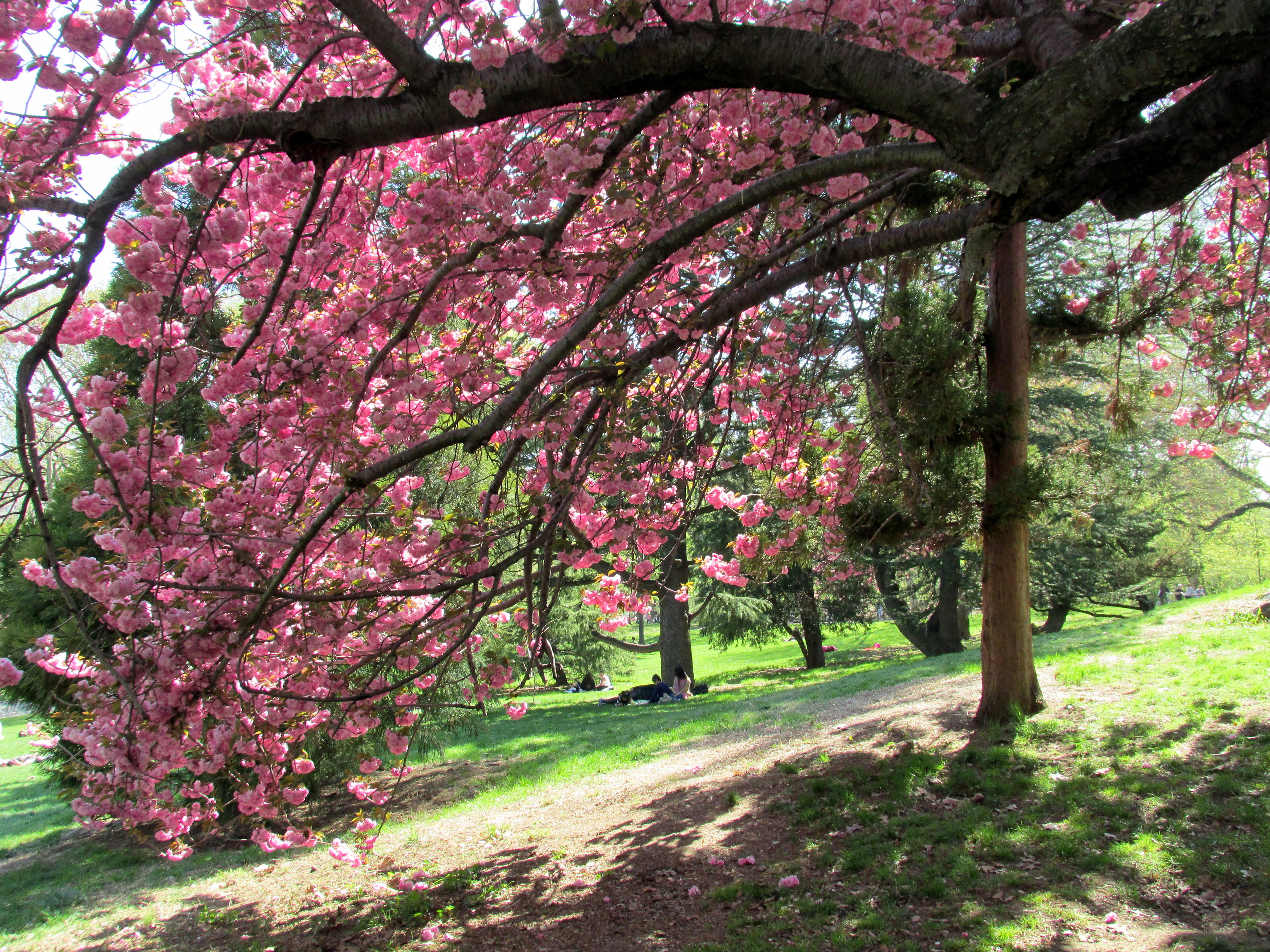 Write 28 Days: Have Heaven ~ Day 22 :: Where, Then, is Paradise?