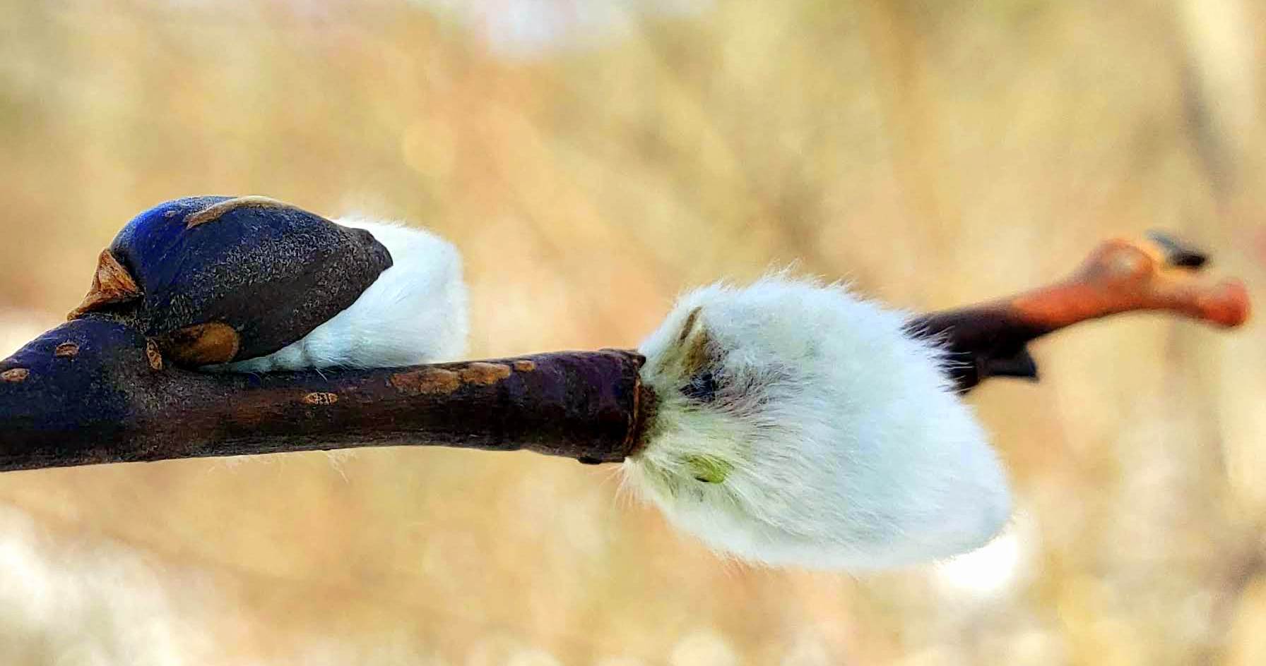 Write 28 Days: Have Heaven ~ Day 16 :: Heaven-dripped stars