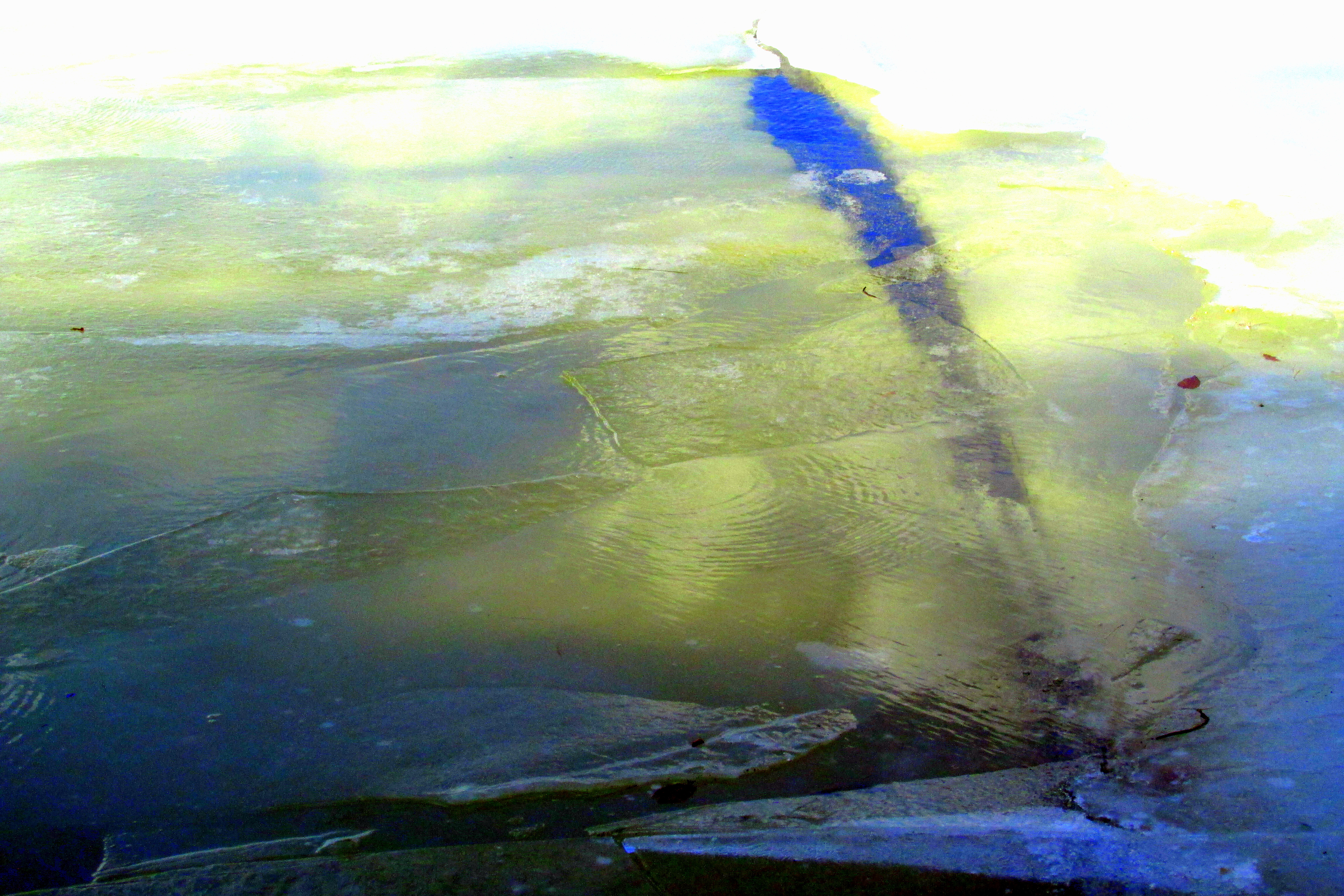 Write 28 Days: Have Heaven ~ Day 10 :: Earth’s Last Picture