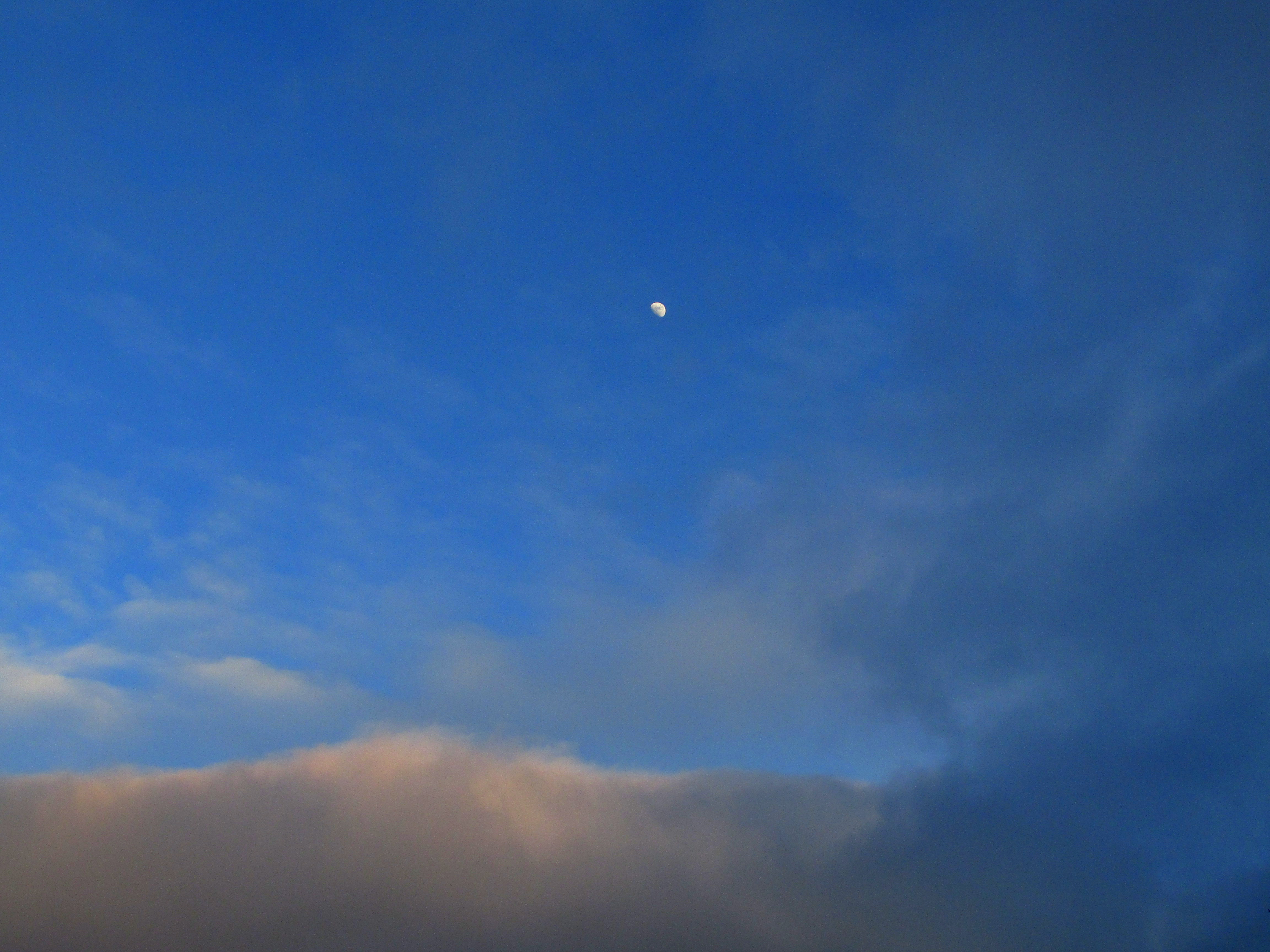 Write 28 Days: Have Heaven ~ Day 11 :: The Gloaming