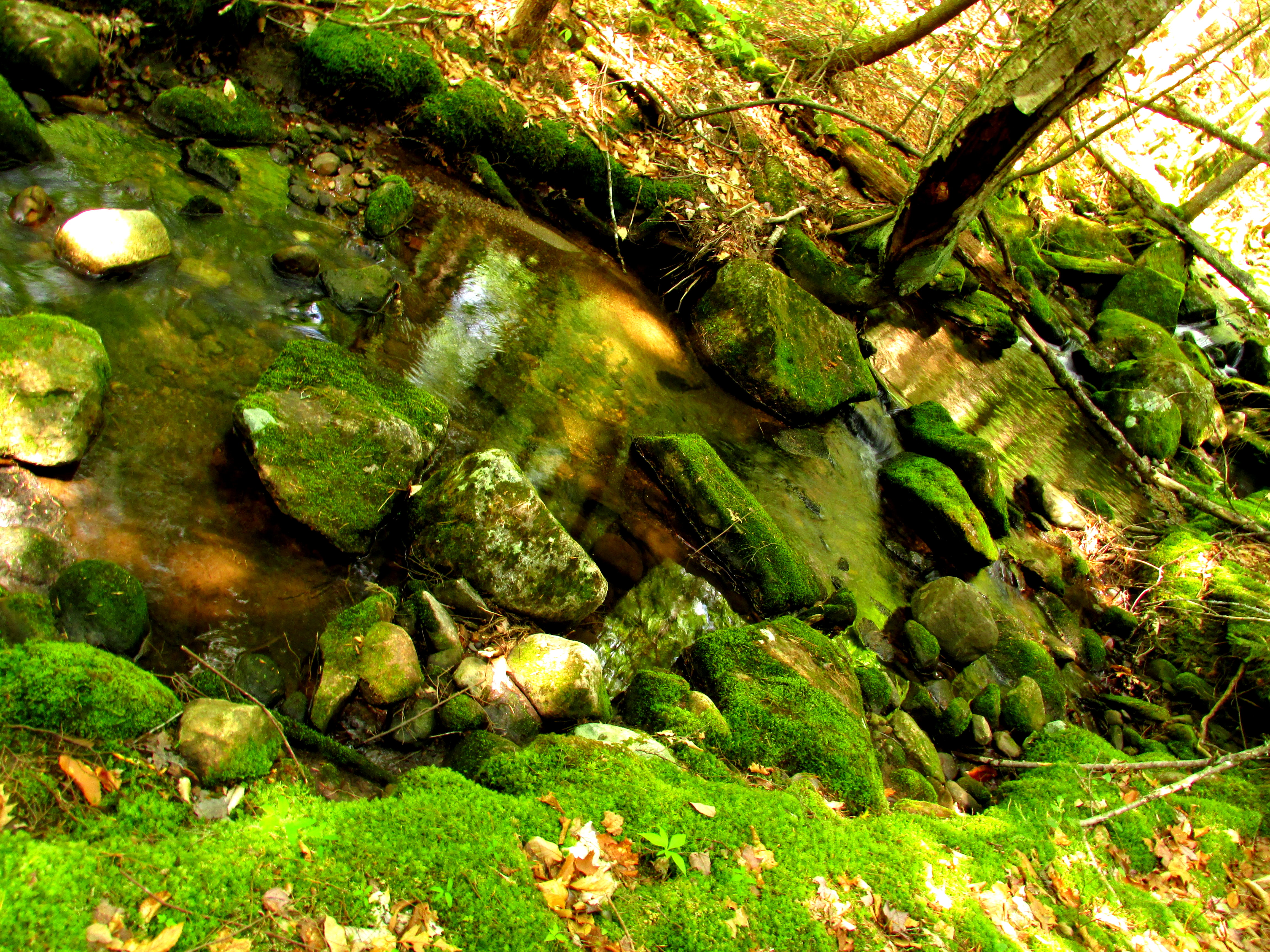 Like the Dampness of Faith