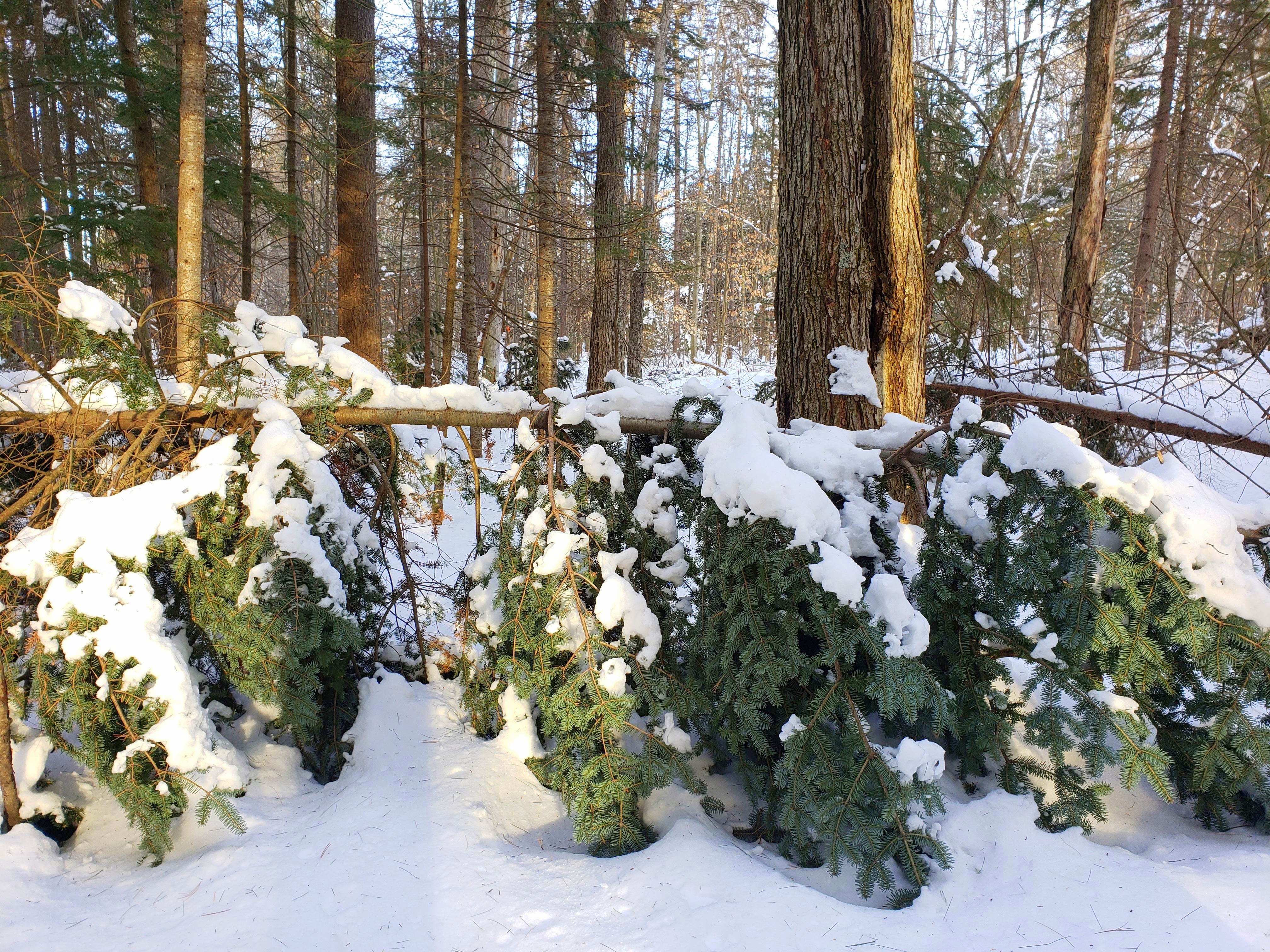 A Tangle of Bright Moments: Make Your Own Space