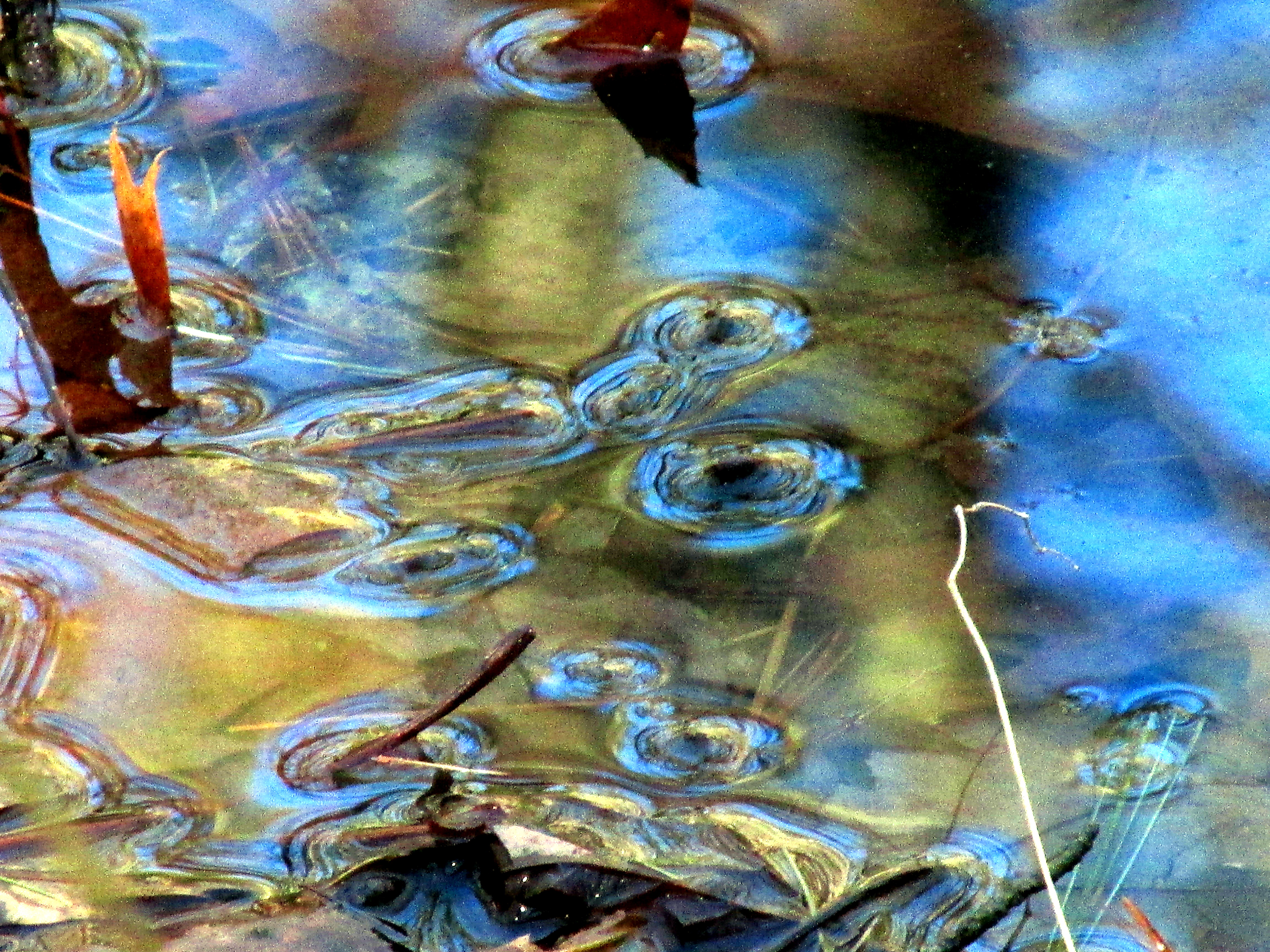 A Tangle of Bright Moments: Frog Hugs
