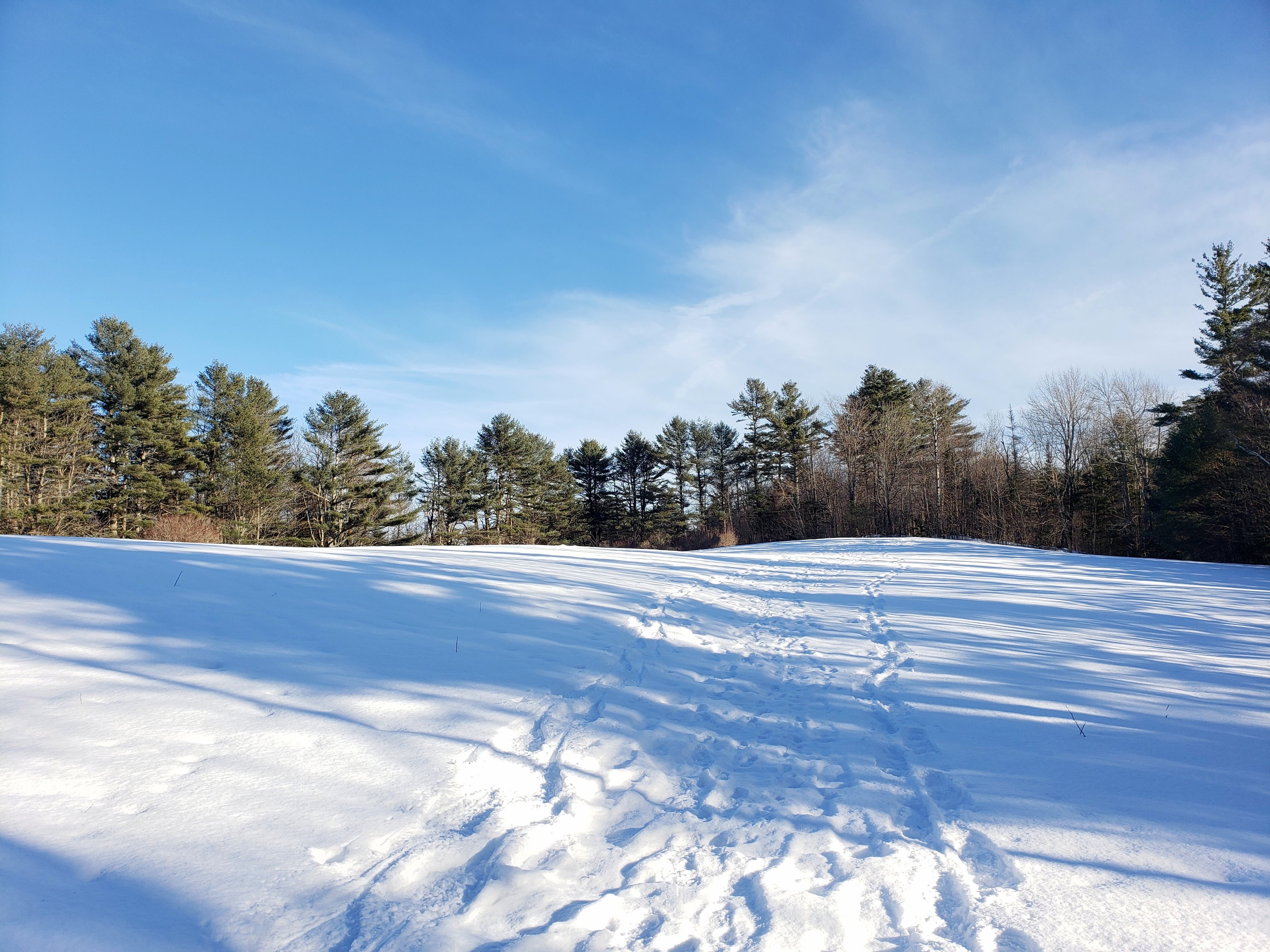 A Tangle of Bright Moments: In Answer to Its Place & the Light