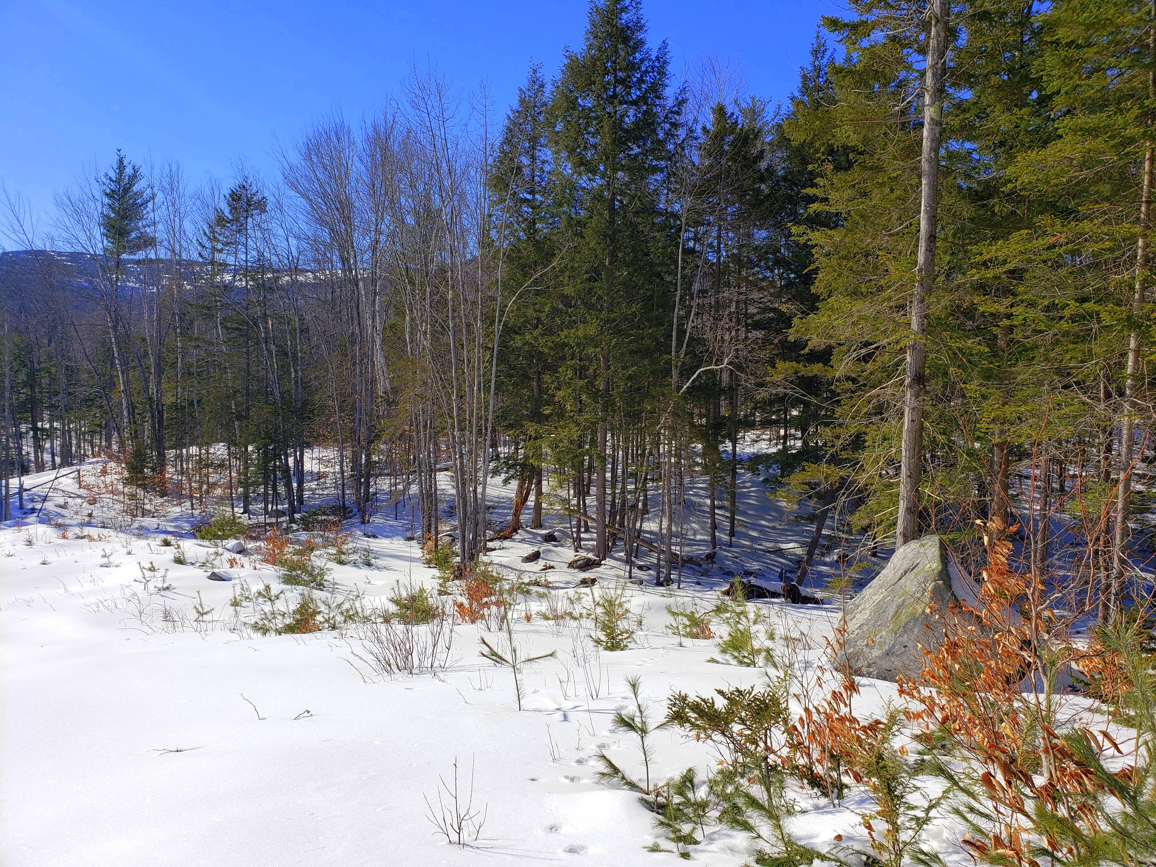 A Tangle of Bright Moments: Good Both Going and Coming Back