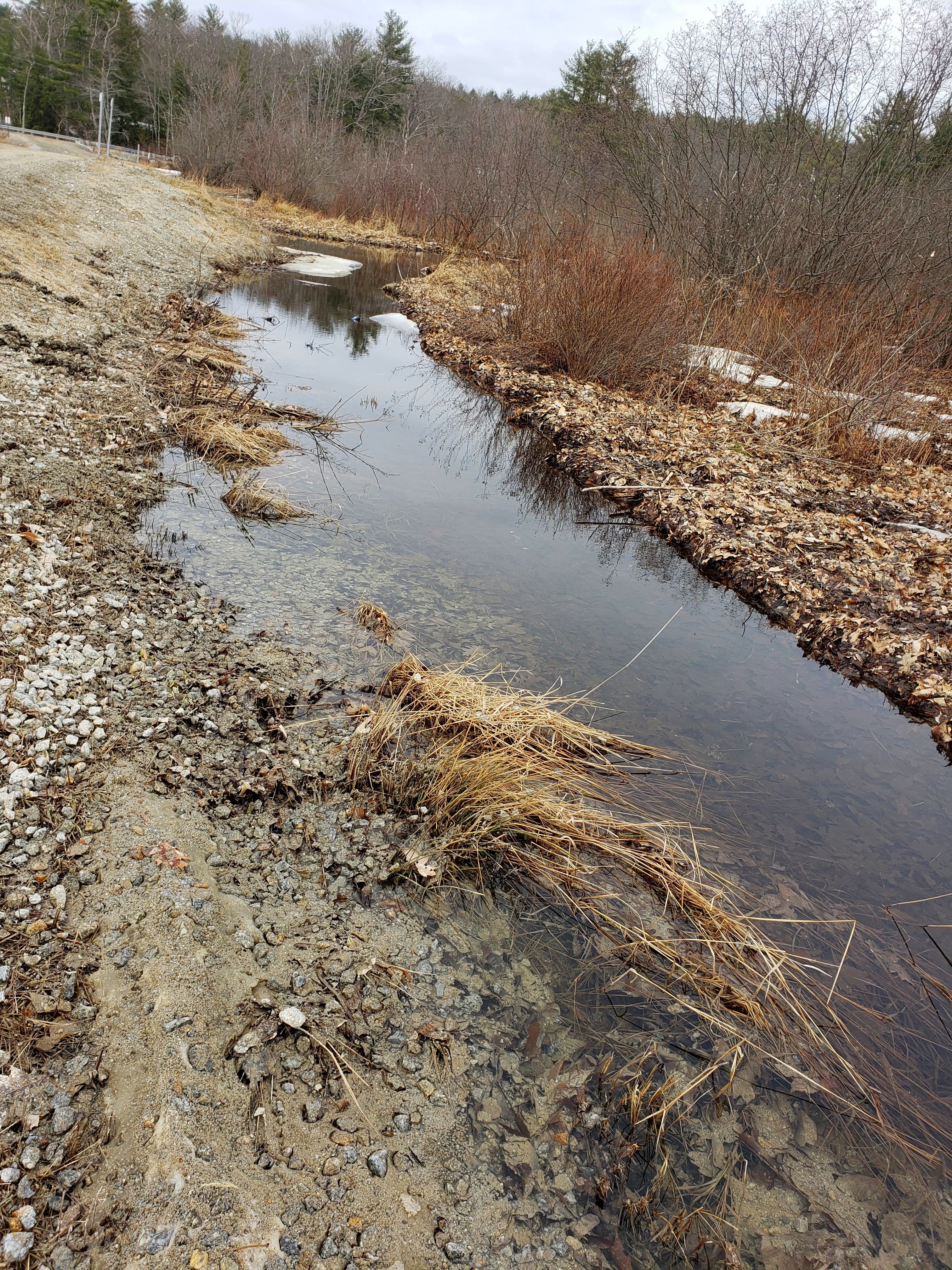 A Tangle of Bright Moments: Mud Persists