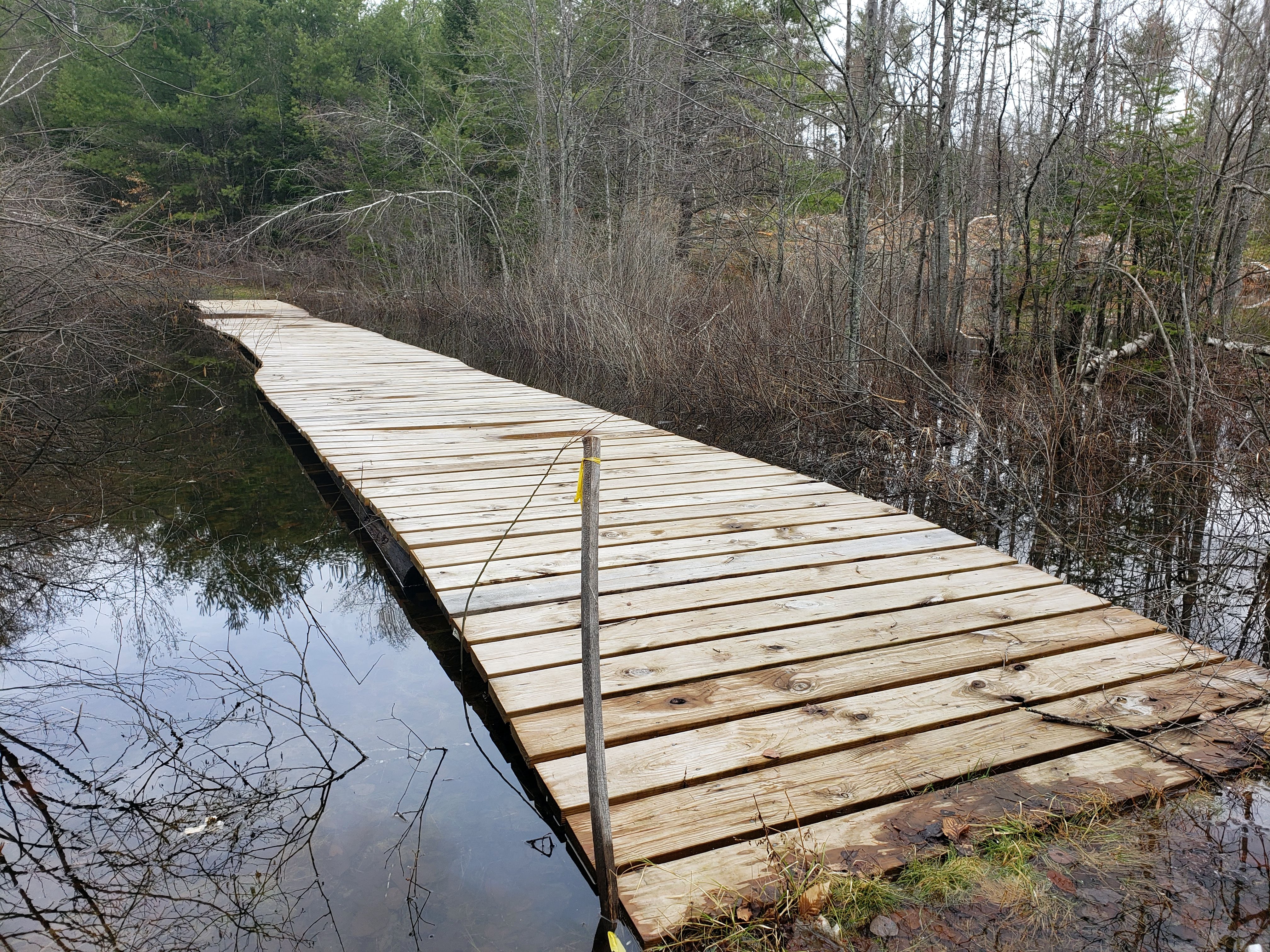 A Tangle of Bright Moments: You May Wonder