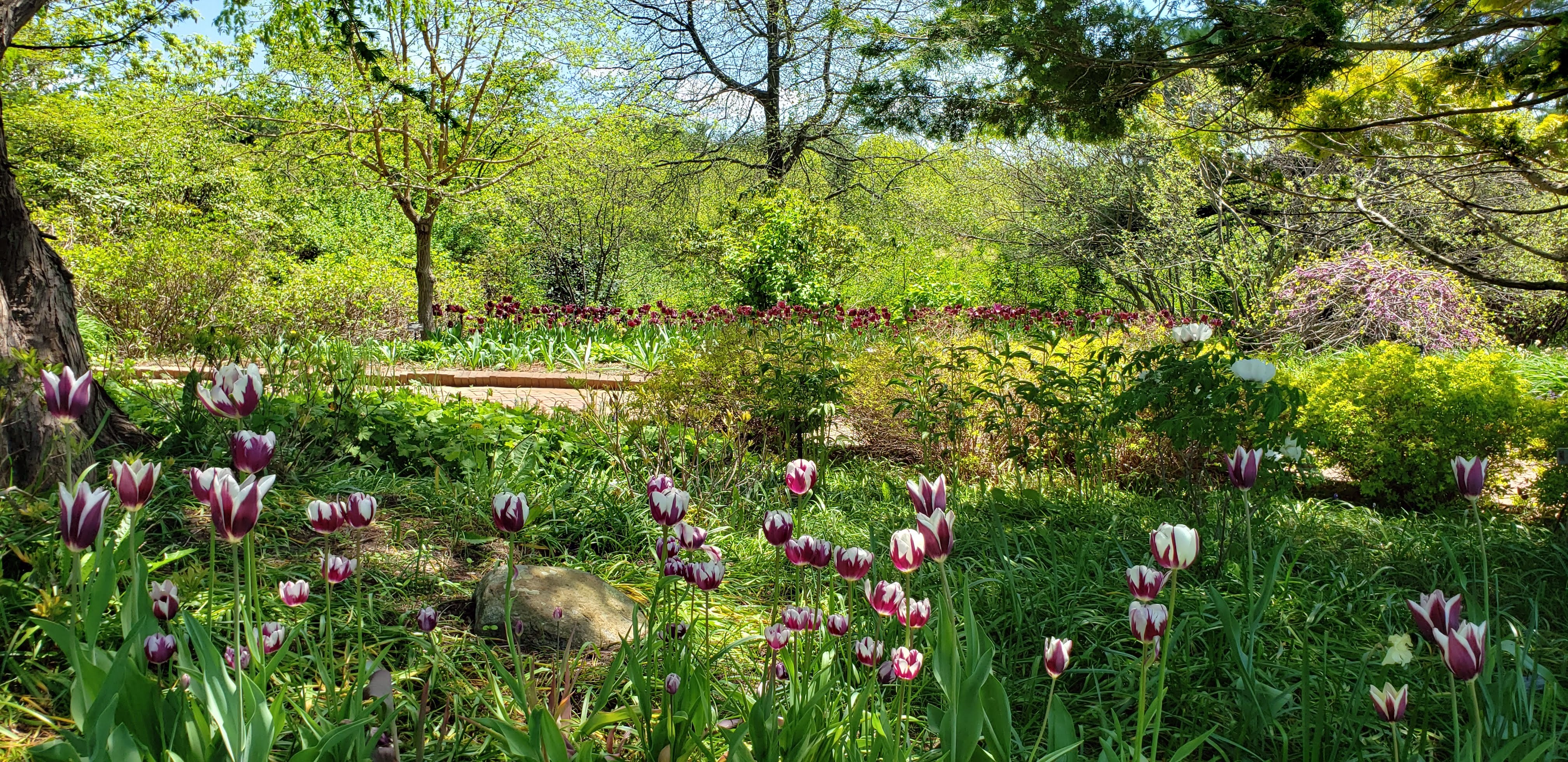 A Tangle of Bright Moments: Tray of Jewels