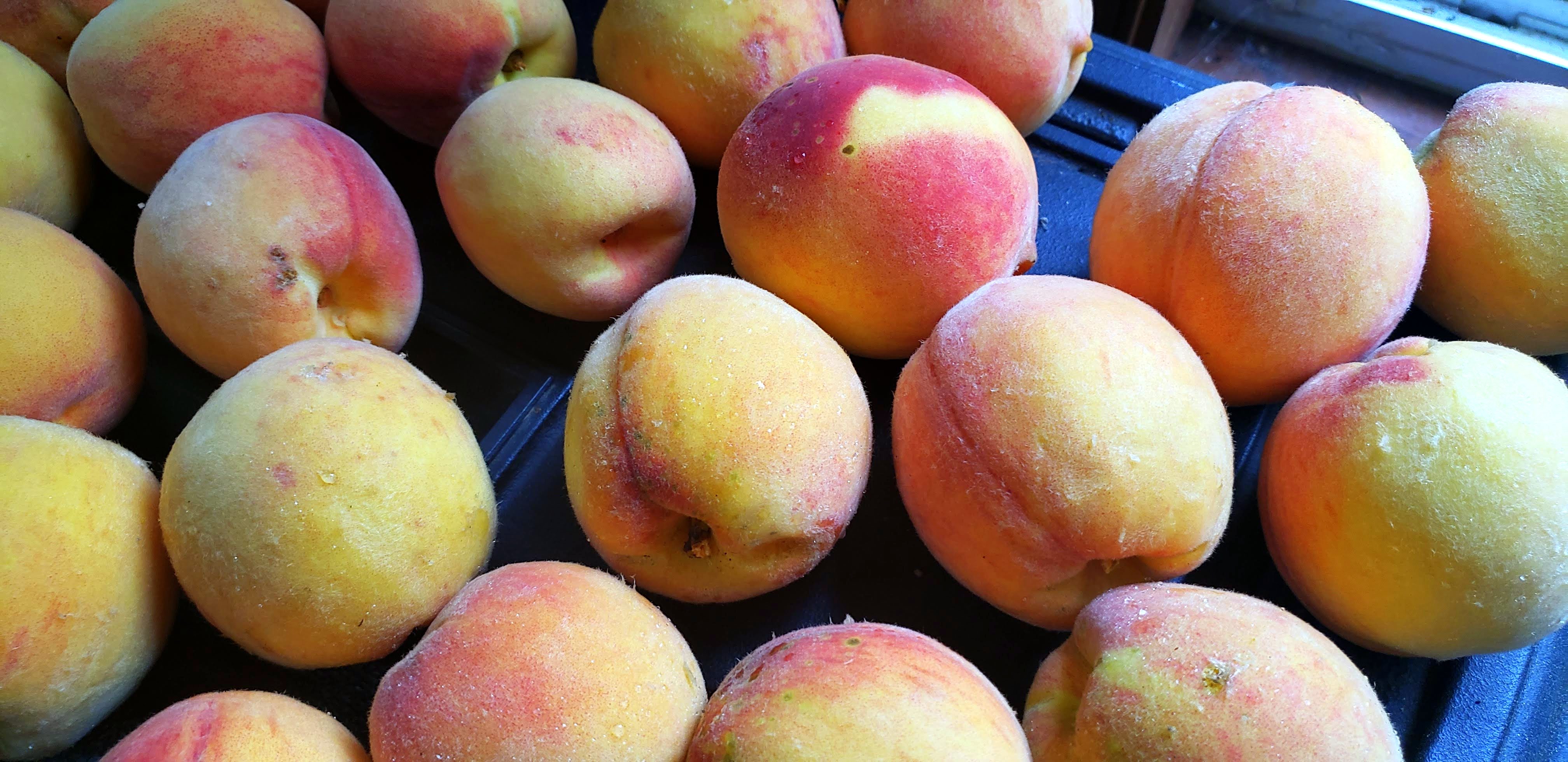 Wednesday Vignette: Otherwise