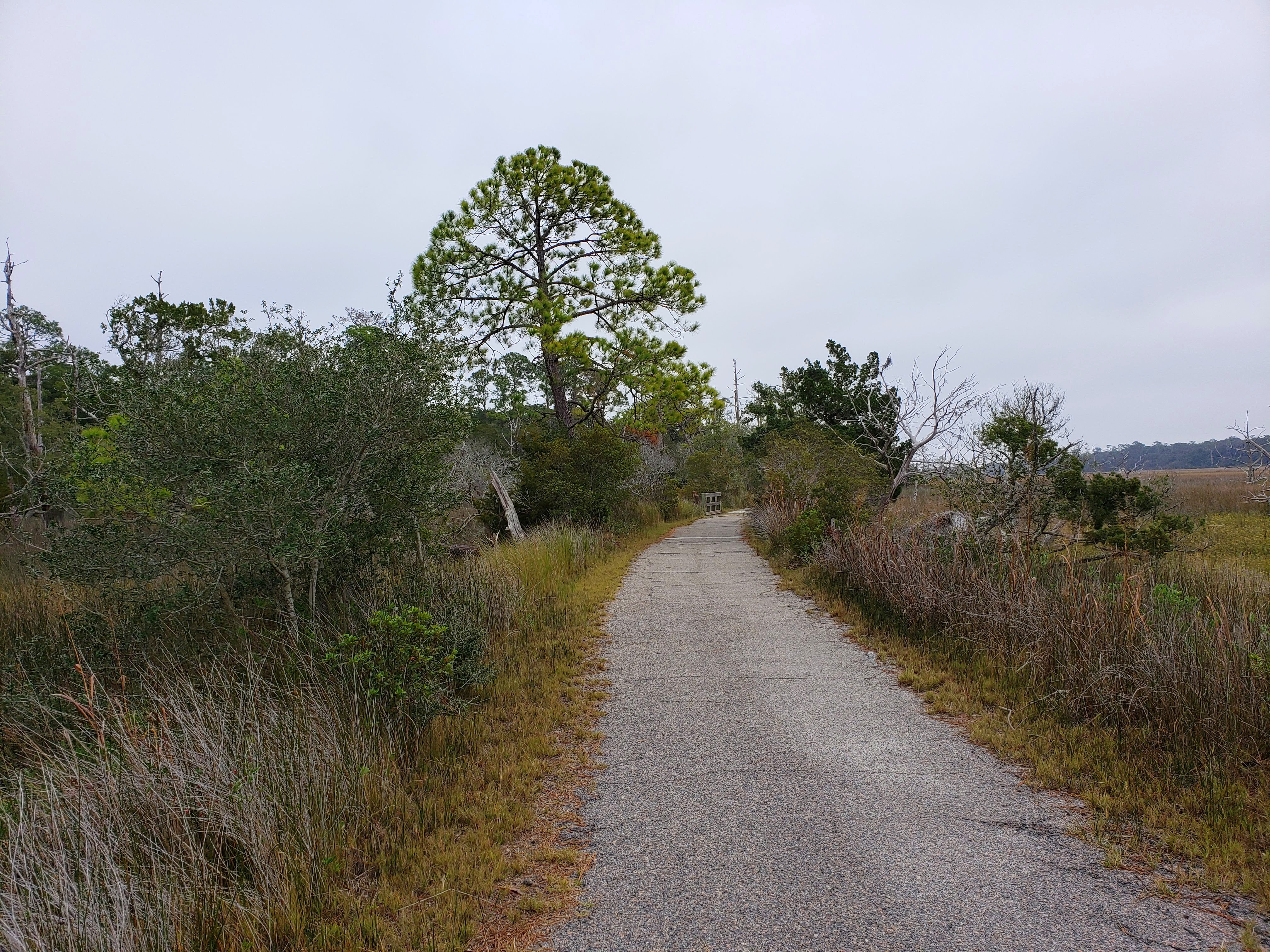 Wednesday Vignette: Homesick