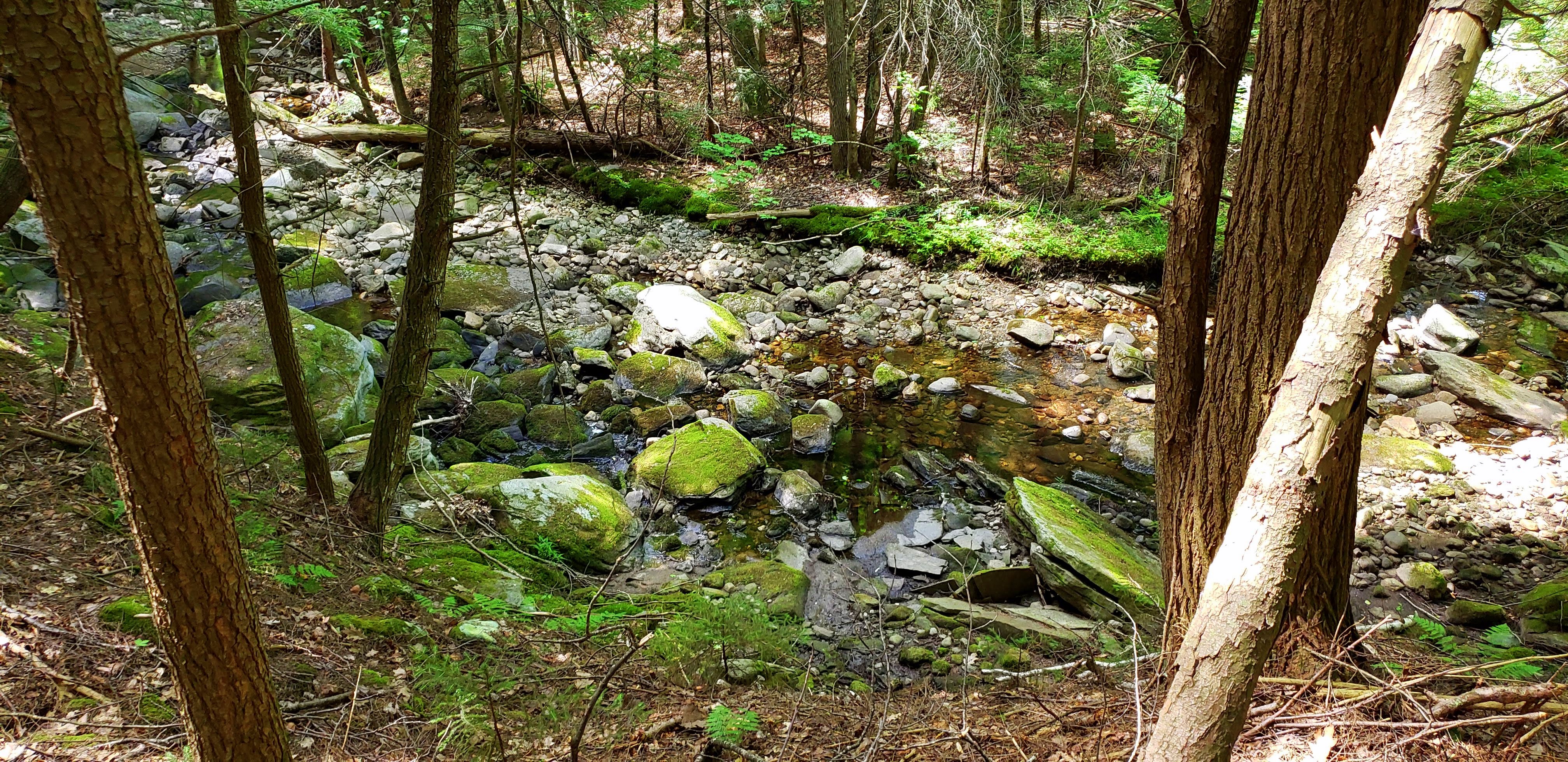 Write 28 Days: Landscape of Memory ~ Debris