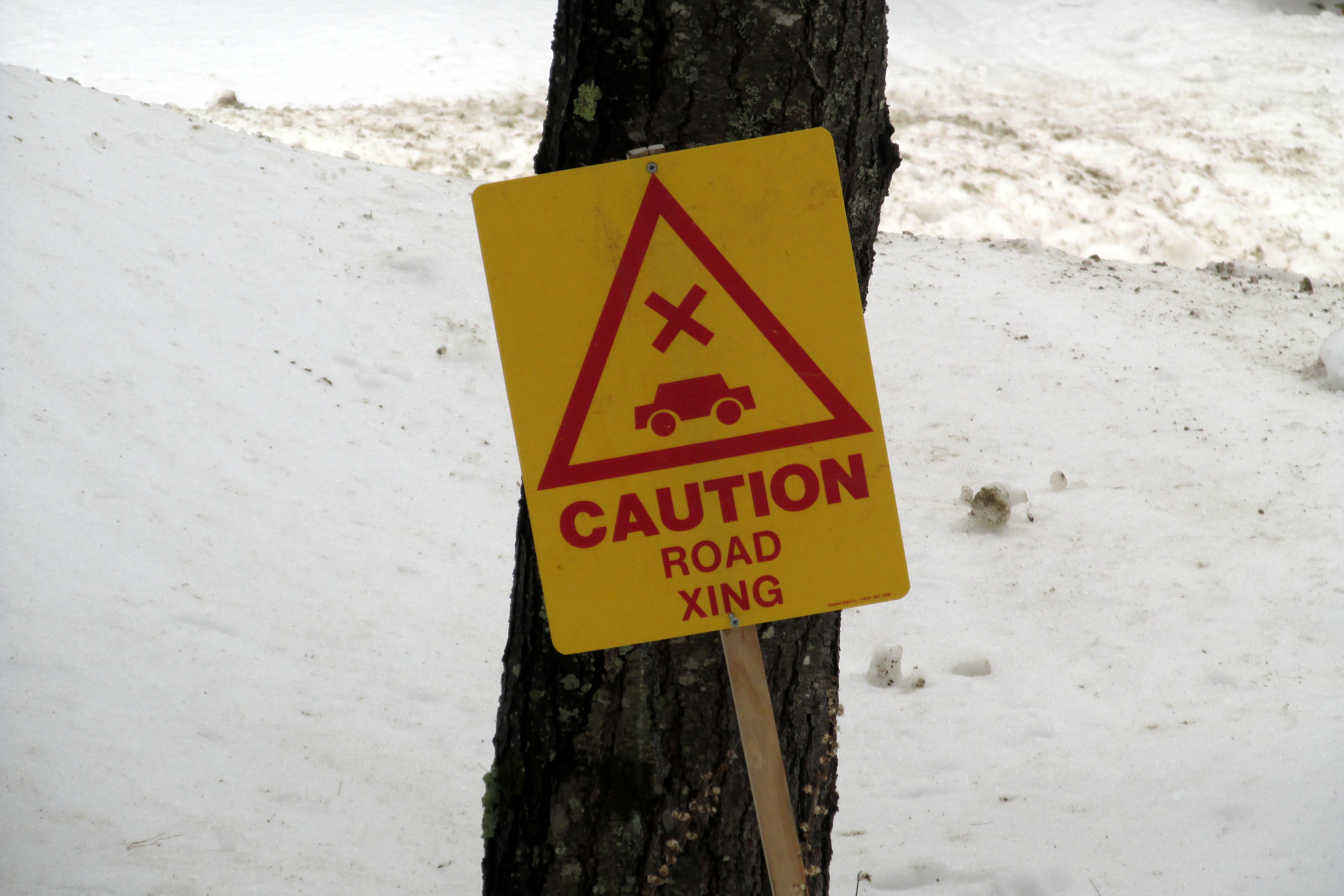 Write 28 Days: Landscape of Memory ~ Stranded