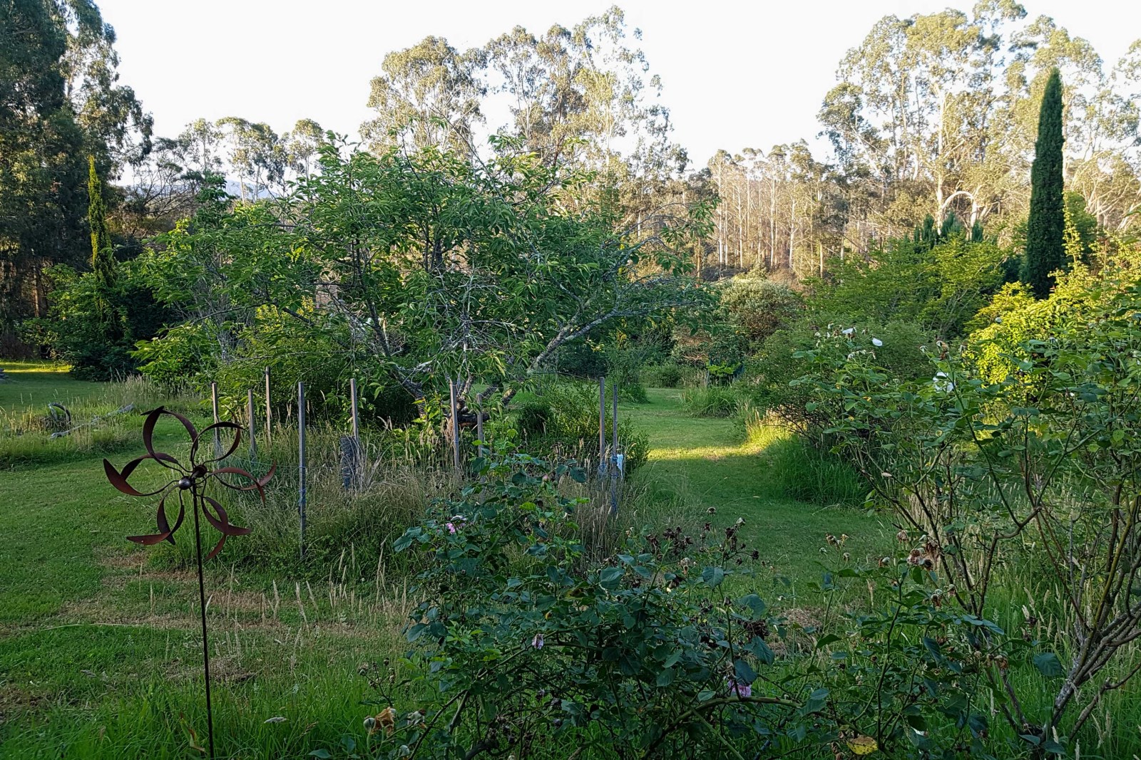 Write 28 Days: Landscape of Memory ~ colour wiped from the landscape