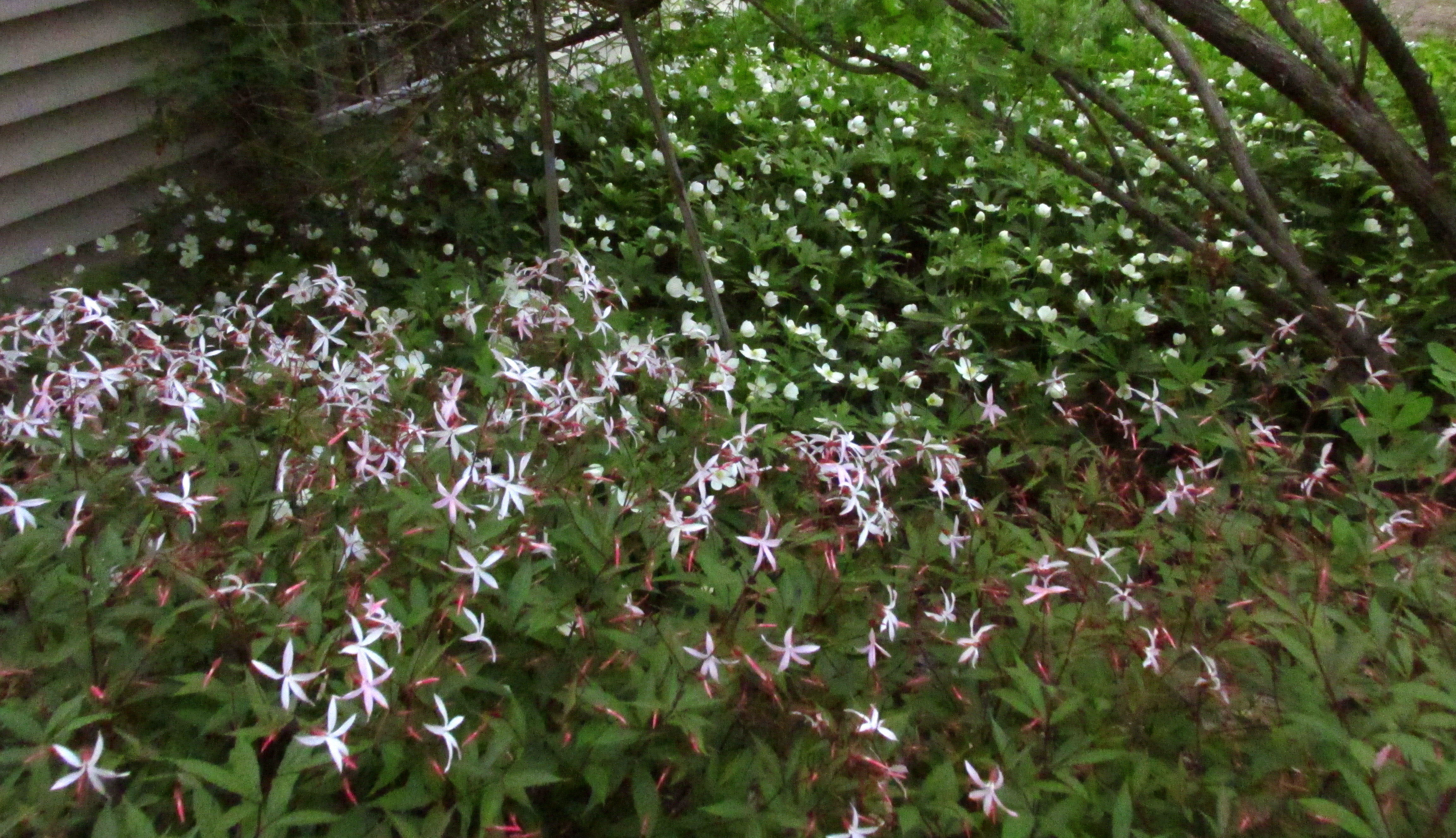 Write 28 Days: Landscape of Memory ~ Eventide