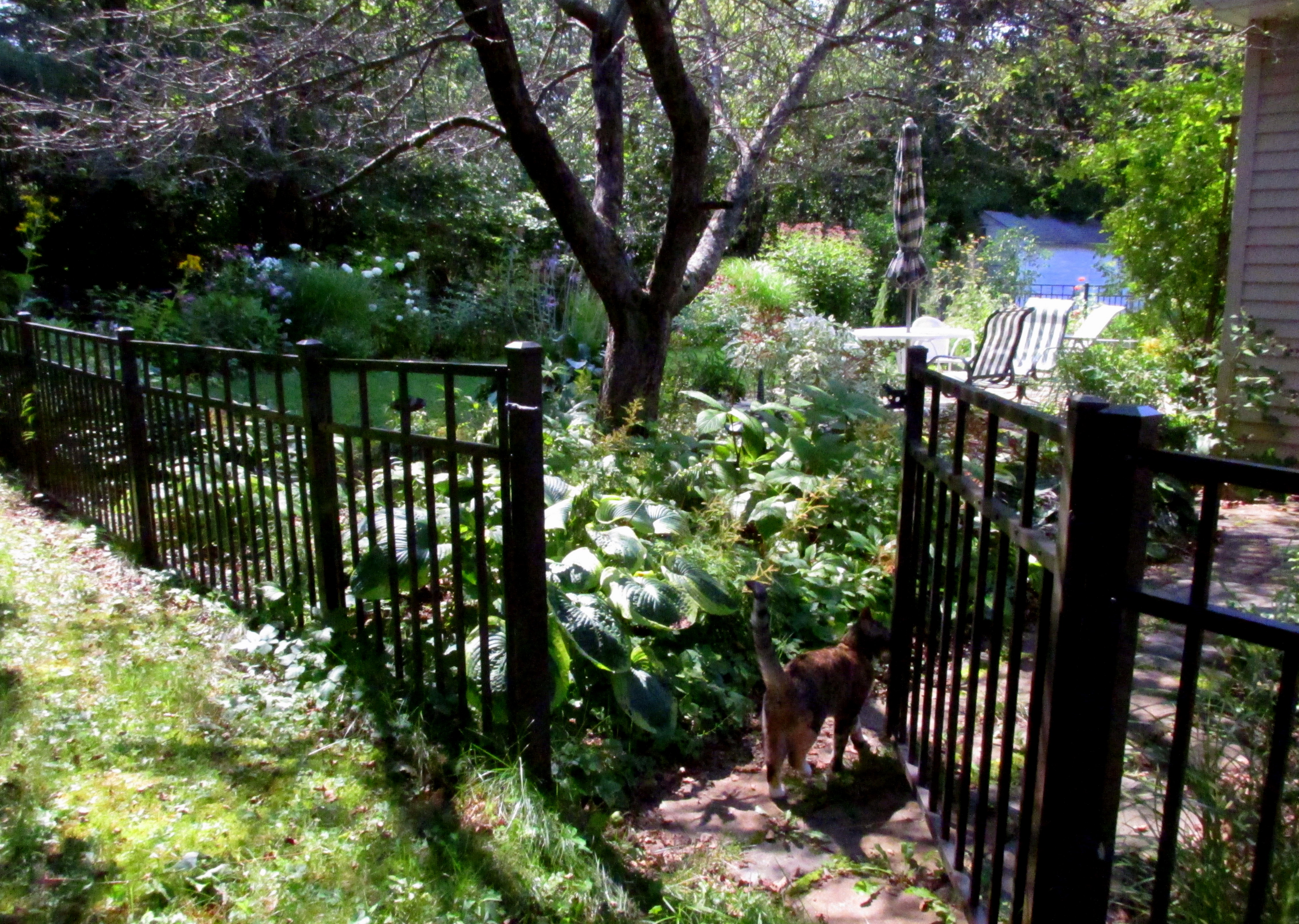 Write 28 Days: Landscape of Memory ~ Secret Landscape