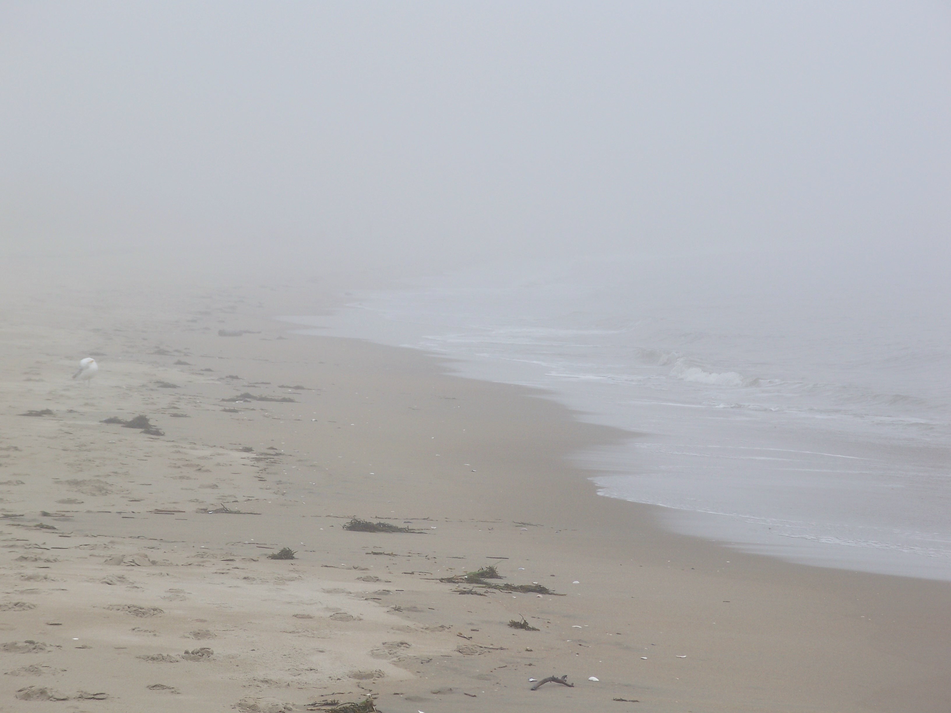 Write 28 Days: Landscape of Memory ~ Unfolding
