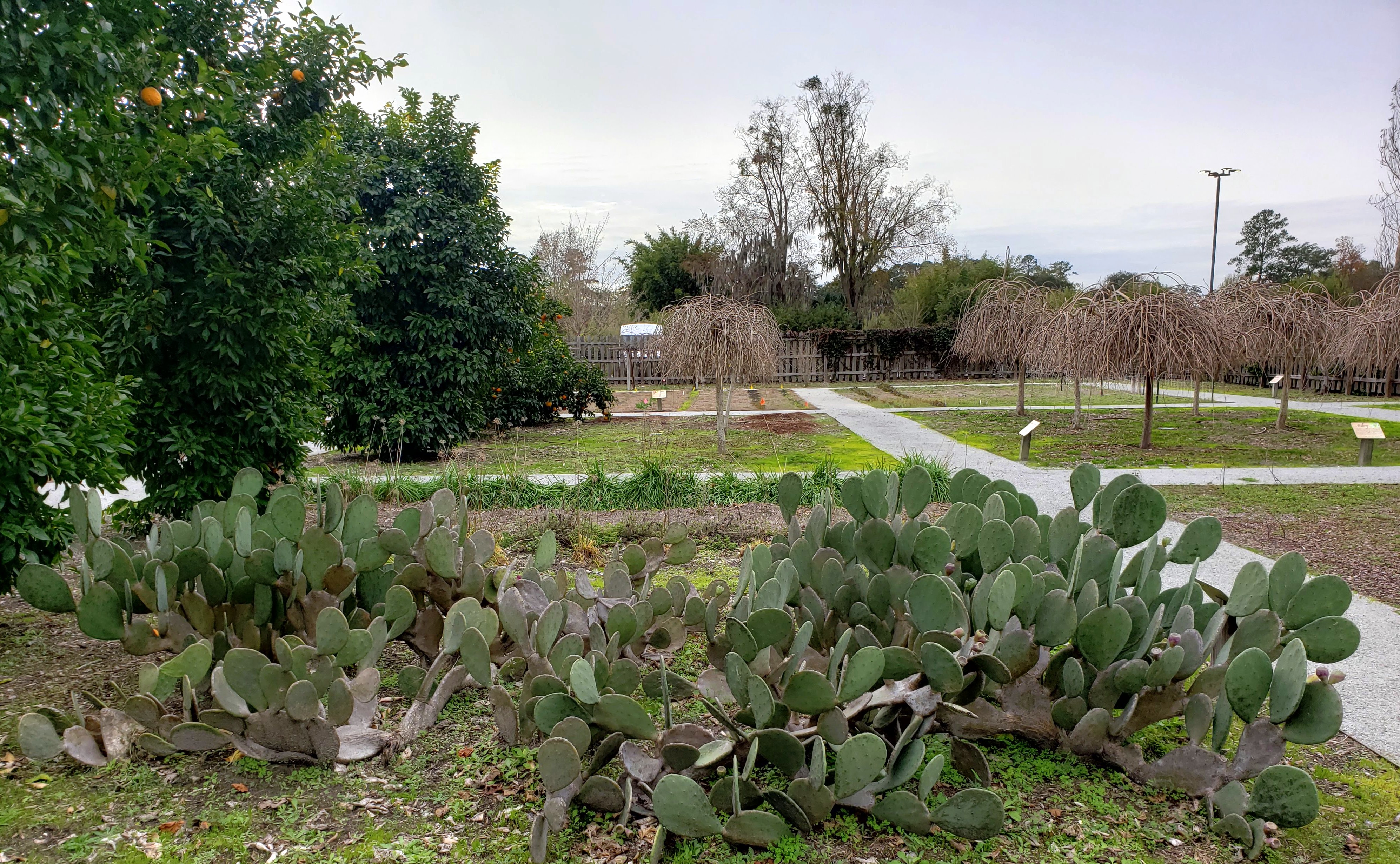 Write 28 Days: Landscape of Memory ~ Don’t objectify the cactus