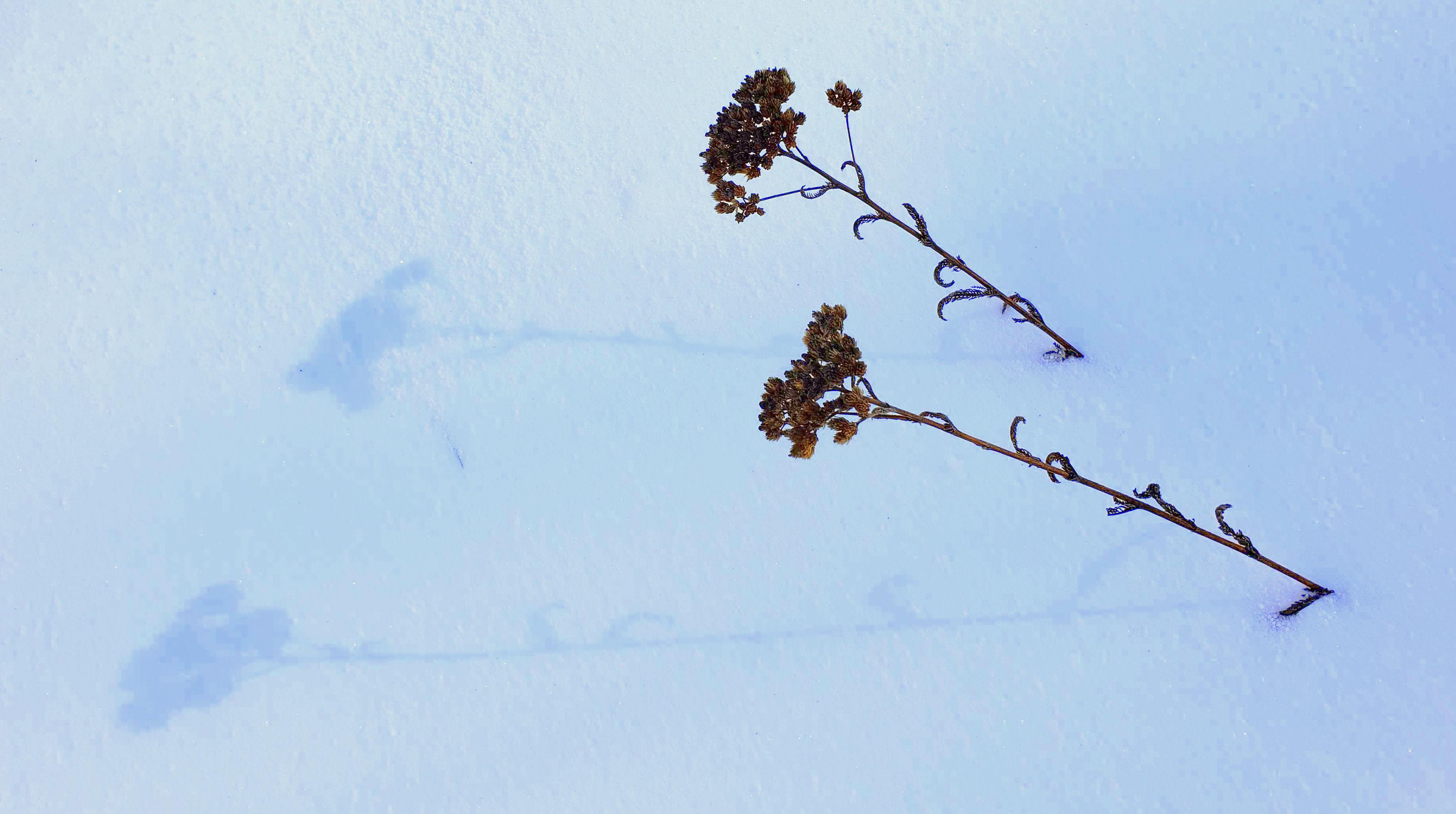 Write 28 Days: Landscape of Memory ~ I disturb that place by breathing, by my heart’s beating