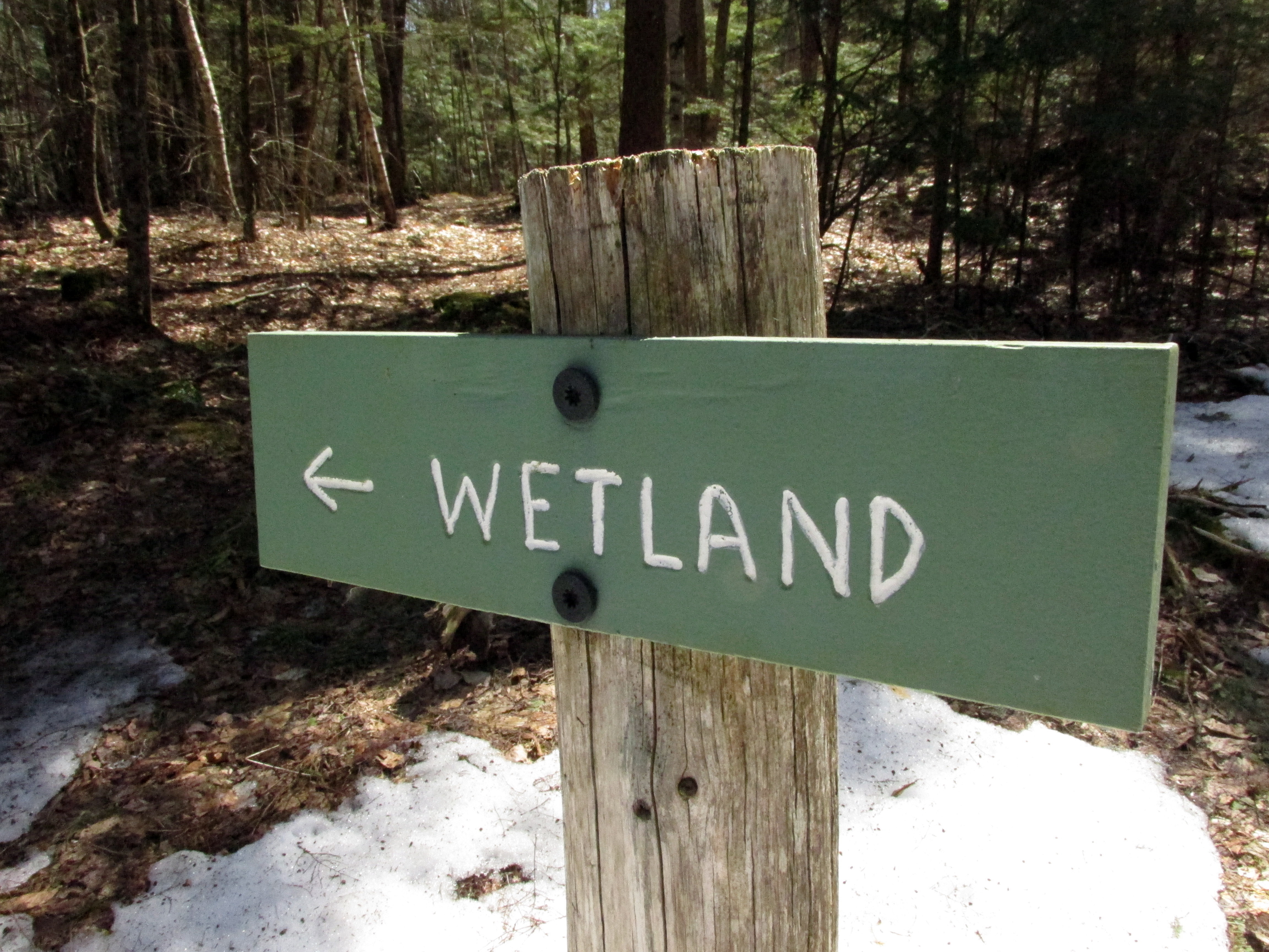 Write 28 Days: Landscape of Memory ~ Mire