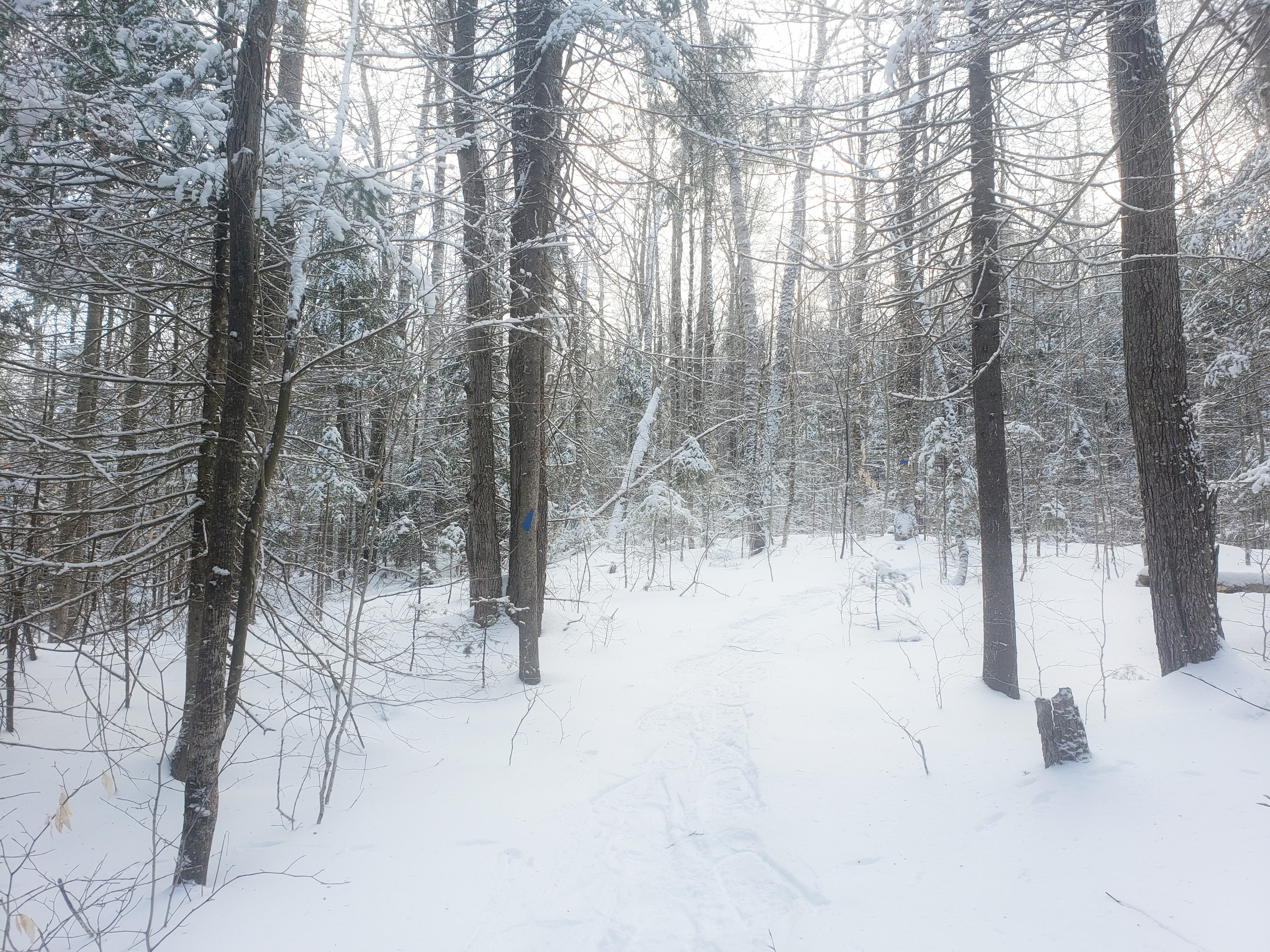 Write 28 Days: Landscape of Memory ~ Vanishing