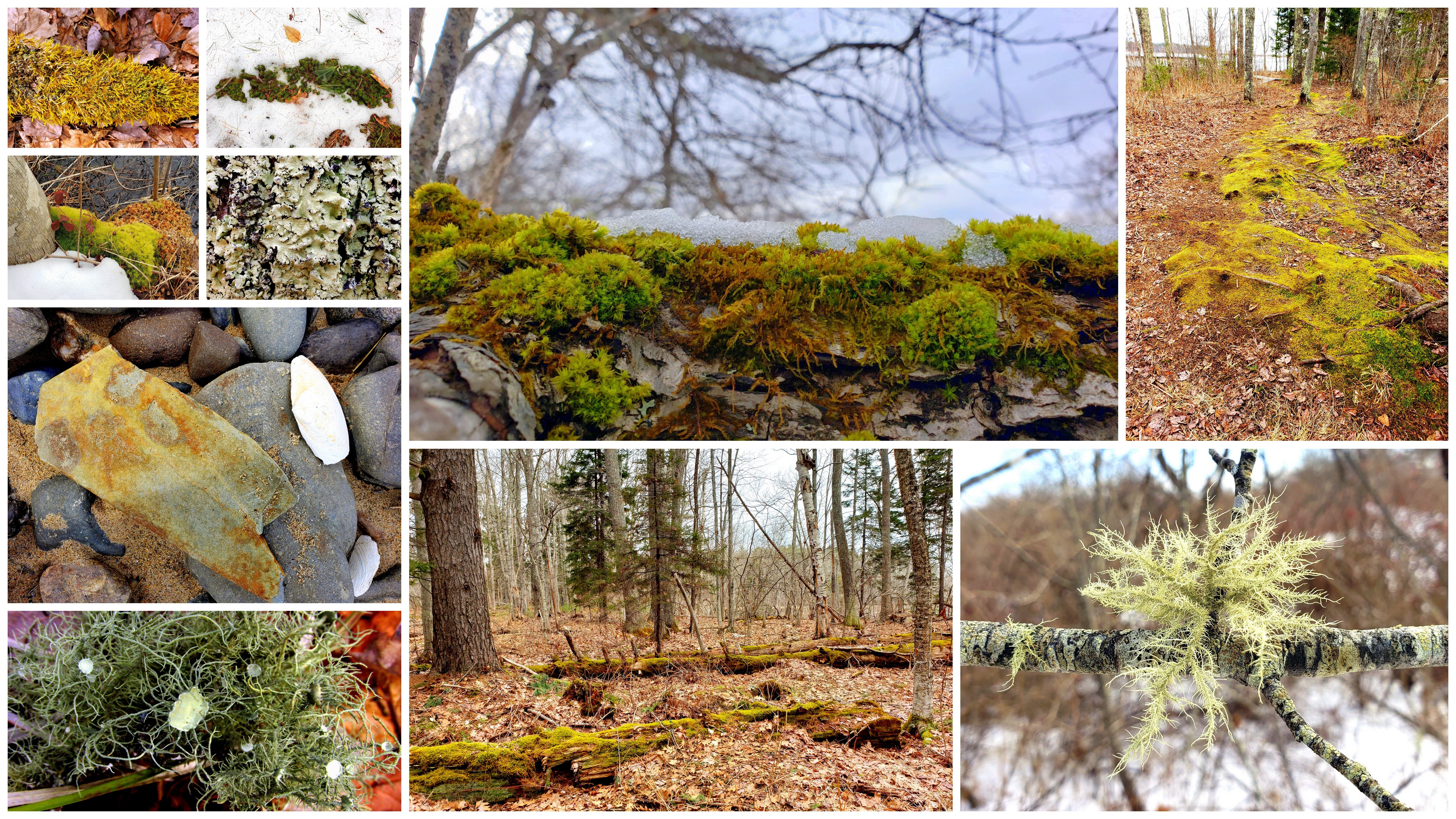 Wearing of the Green