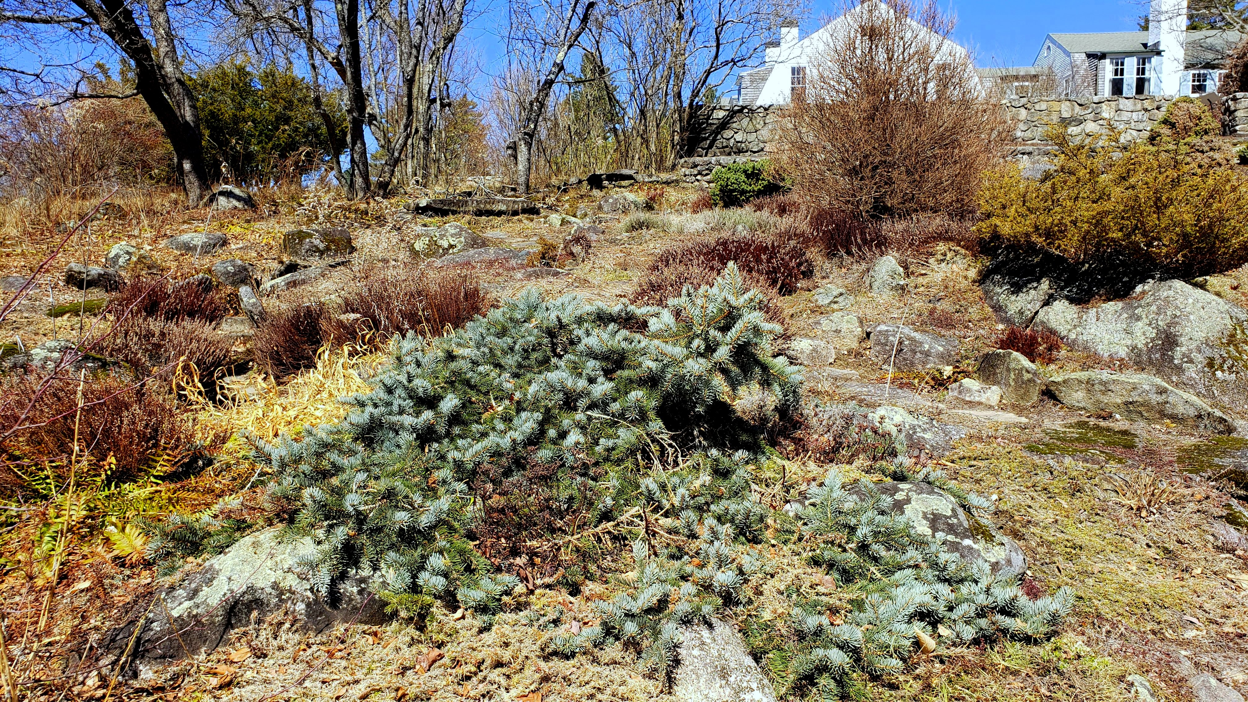 Six on Saturday: Isolation Walks