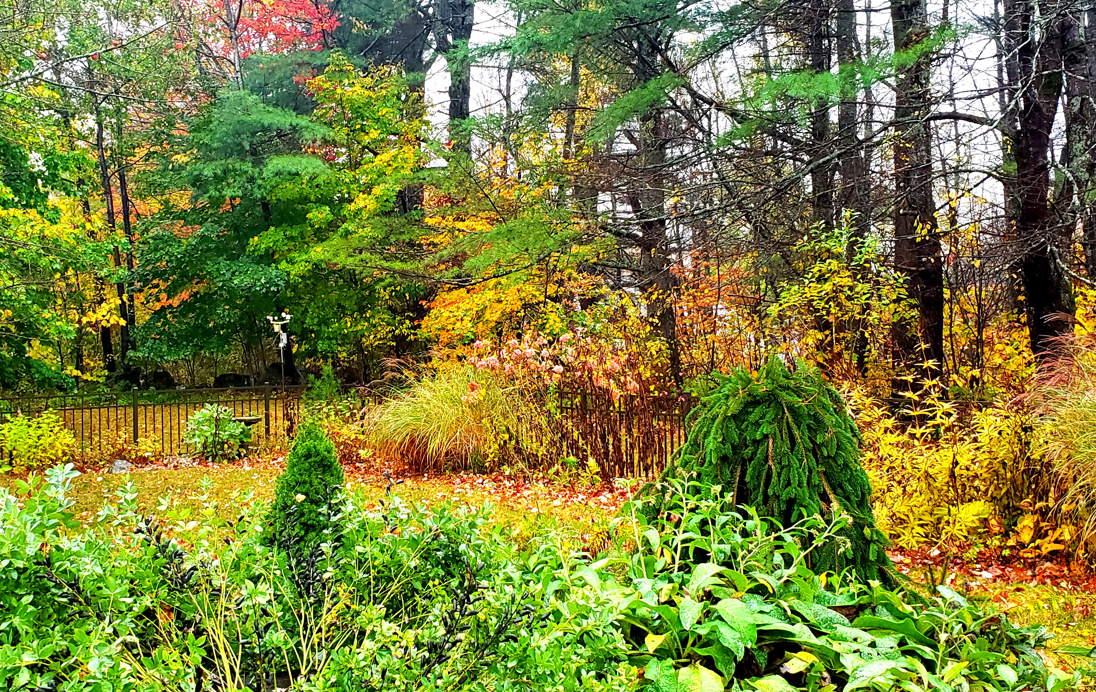 write 31 days: dreamscape – day 16