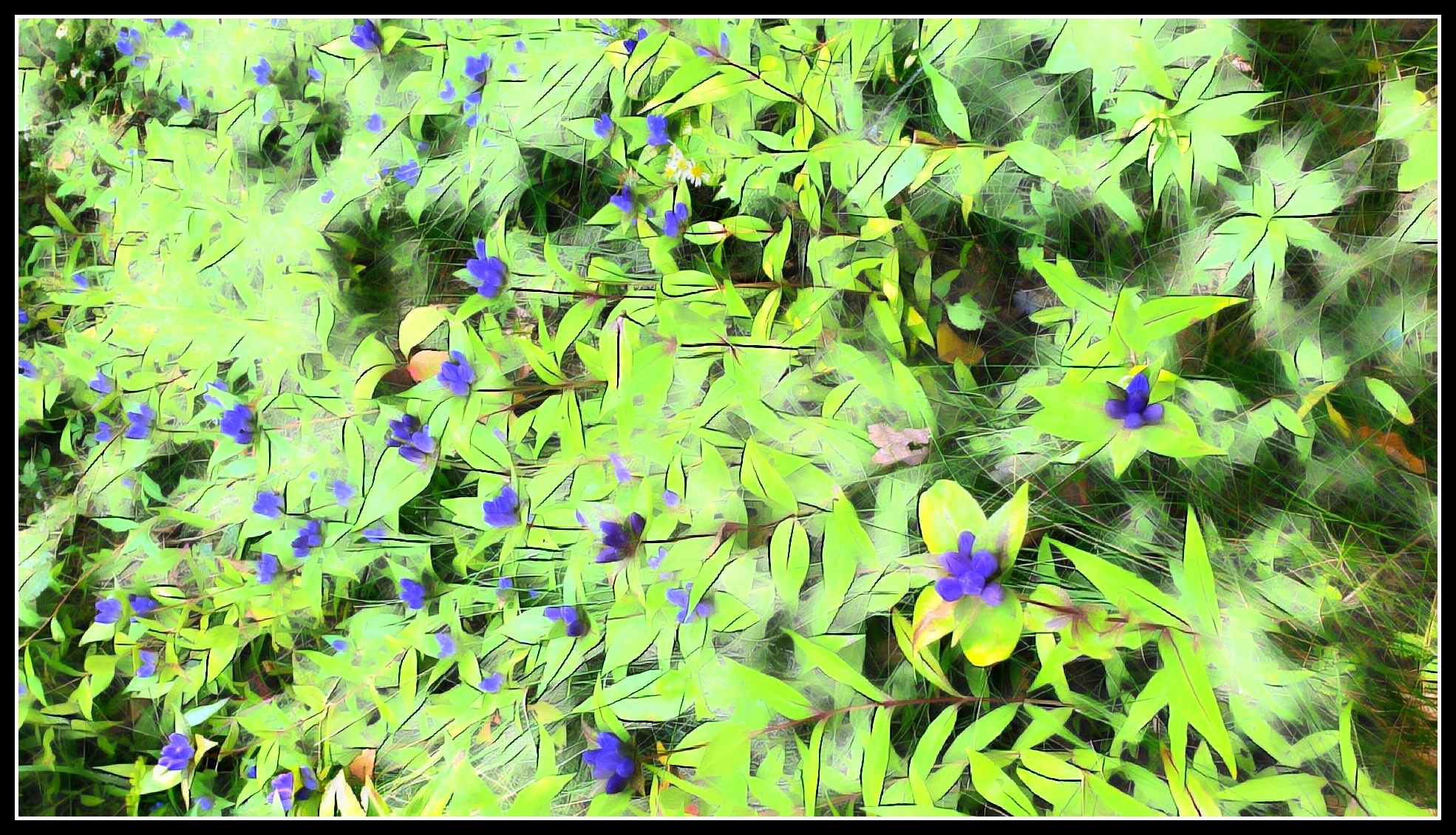 write 31 days: dreamscape – day 8