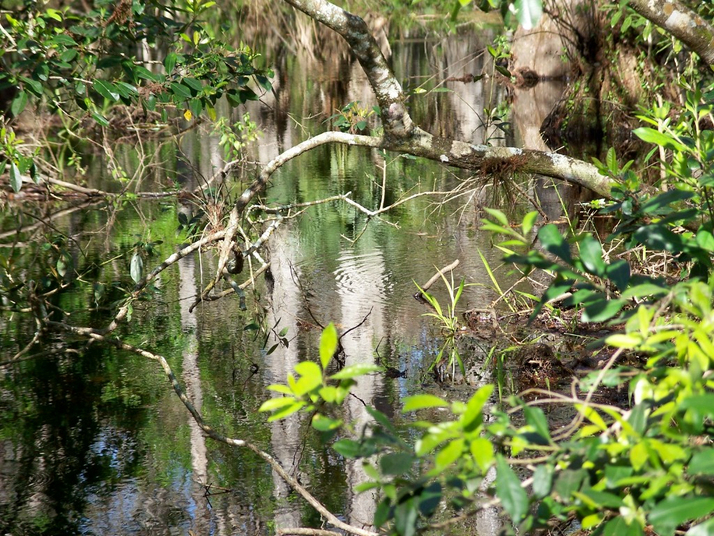 write 31 days: dreamscape – day 23